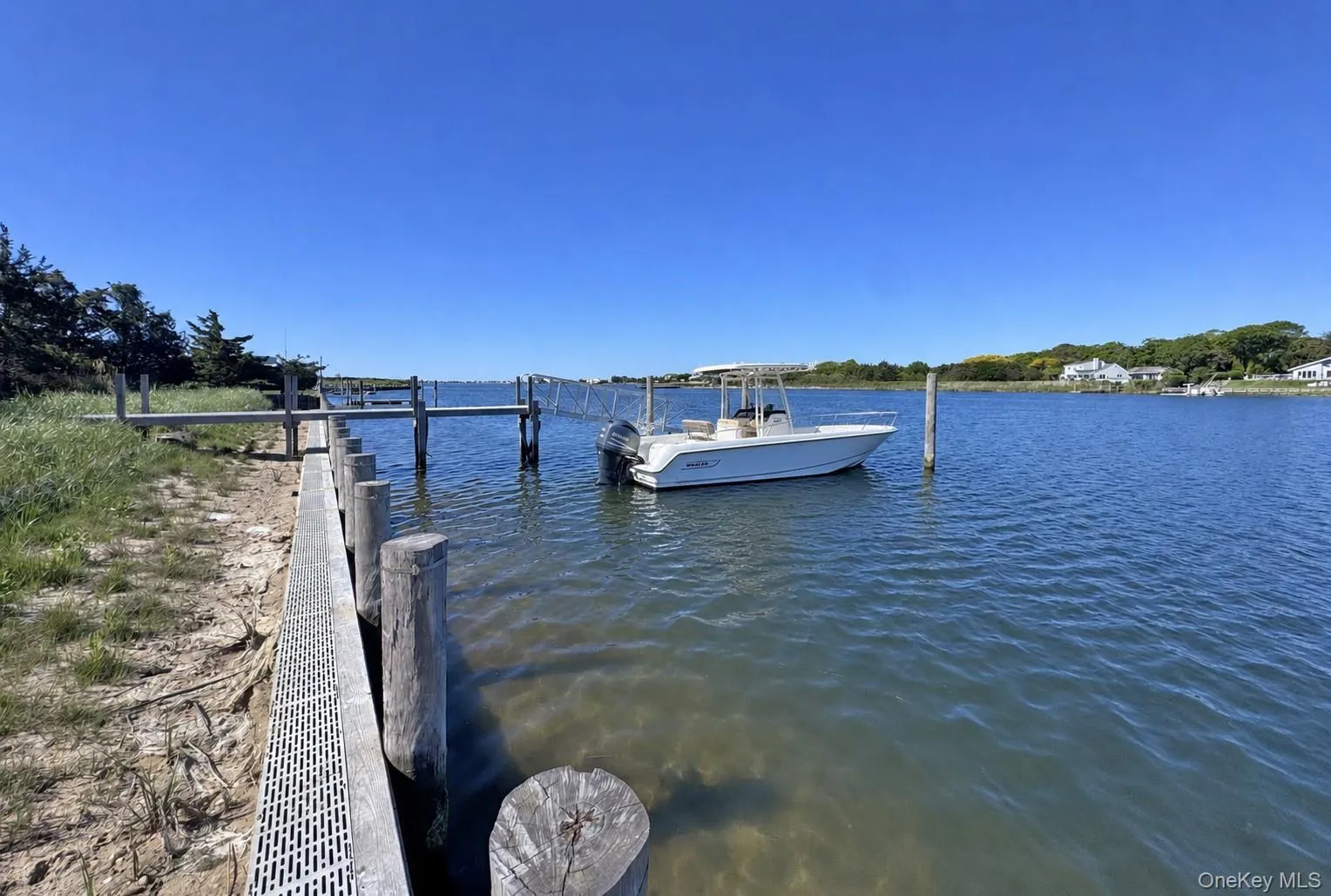 11A Pine Tree Lane, Southampton, NY, ,Land,For Rent,Pine Tree,0,990431 11A Pine Tree Lane, Southampton, NY, ,Land,For Rent,Pine Tree,0,990431