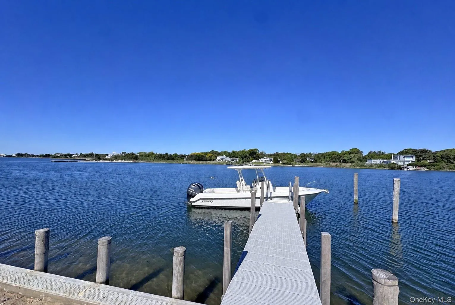 11A Pine Tree Lane, Southampton, NY, ,Land,For Rent,Pine Tree,0,990431 11A Pine Tree Lane, Southampton, NY, ,Land,For Rent,Pine Tree,0,990431
