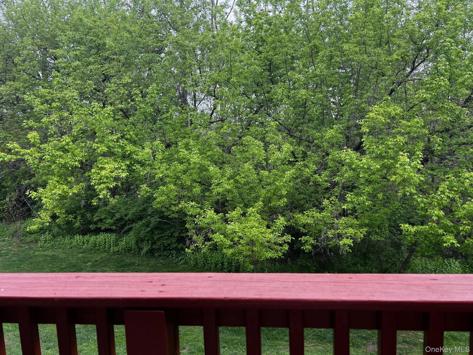 Serene view from your back deck Serene view from your back deck
