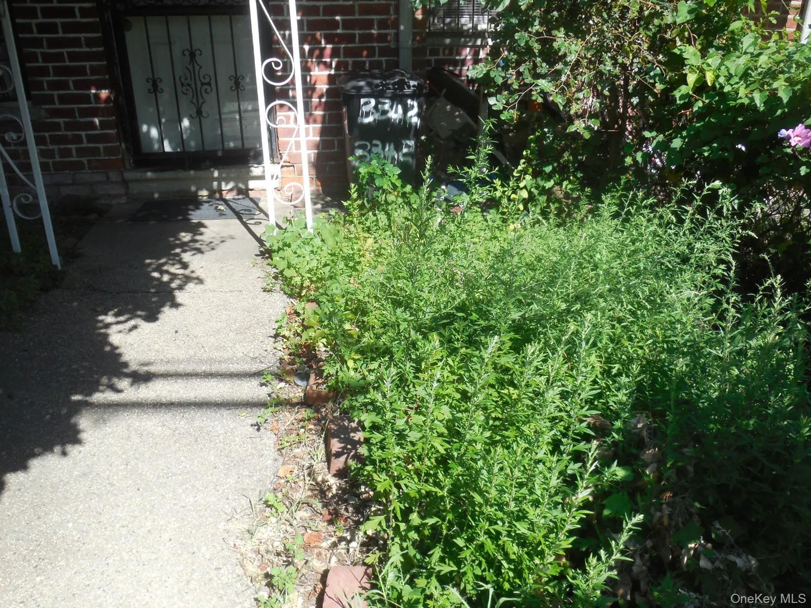 3342 Gunther Avenue, New York, NY, 2 Bedrooms Bedrooms, 4 Rooms Rooms,1 BathroomBathrooms,Residential,For Rent,Gunther,0,990456 3342 Gunther Avenue, New York, NY, 2 Bedrooms Bedrooms, 4 Rooms Rooms,1 BathroomBathrooms,Residential,For Rent,Gunther,0,990456