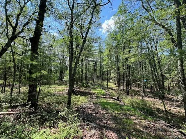 Lot 18 Hunczak Boulevard, Lumberland, NY, ,Land,For Rent,Hunczak,0,990463 Lot 18 Hunczak Boulevard, Lumberland, NY, ,Land,For Rent,Hunczak,0,990463
