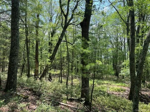 Lot 18 Hunczak Boulevard, Lumberland, NY, ,Land,For Rent,Hunczak,0,990463 Lot 18 Hunczak Boulevard, Lumberland, NY, ,Land,For Rent,Hunczak,0,990463