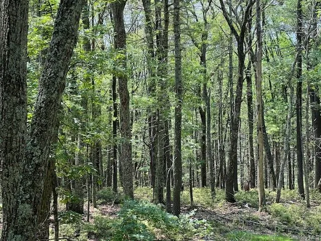 Lot 18 Hunczak Boulevard, Lumberland, NY, ,Land,For Rent,Hunczak,0,990463 Lot 18 Hunczak Boulevard, Lumberland, NY, ,Land,For Rent,Hunczak,0,990463