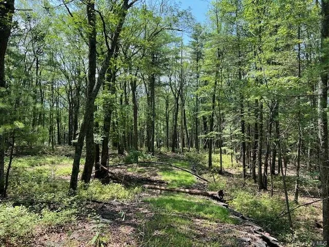 Lot 18 Hunczak Boulevard, Lumberland, NY, ,Land,For Rent,Hunczak,0,990463 Lot 18 Hunczak Boulevard, Lumberland, NY, ,Land,For Rent,Hunczak,0,990463