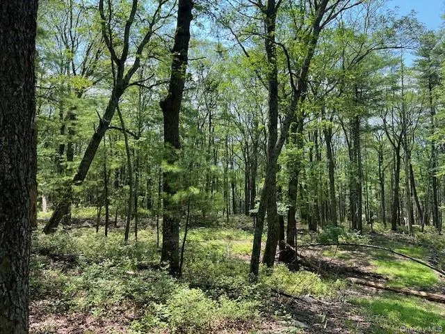 Lot 18 Hunczak Boulevard, Lumberland, NY, ,Land,For Rent,Hunczak,0,990463 Lot 18 Hunczak Boulevard, Lumberland, NY, ,Land,For Rent,Hunczak,0,990463