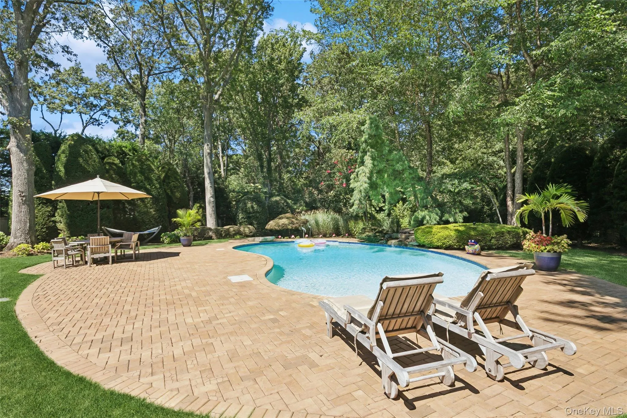 Brick pavers surrounding the gunite kidney shaped pool Brick pavers surrounding the gunite kidney shaped pool
