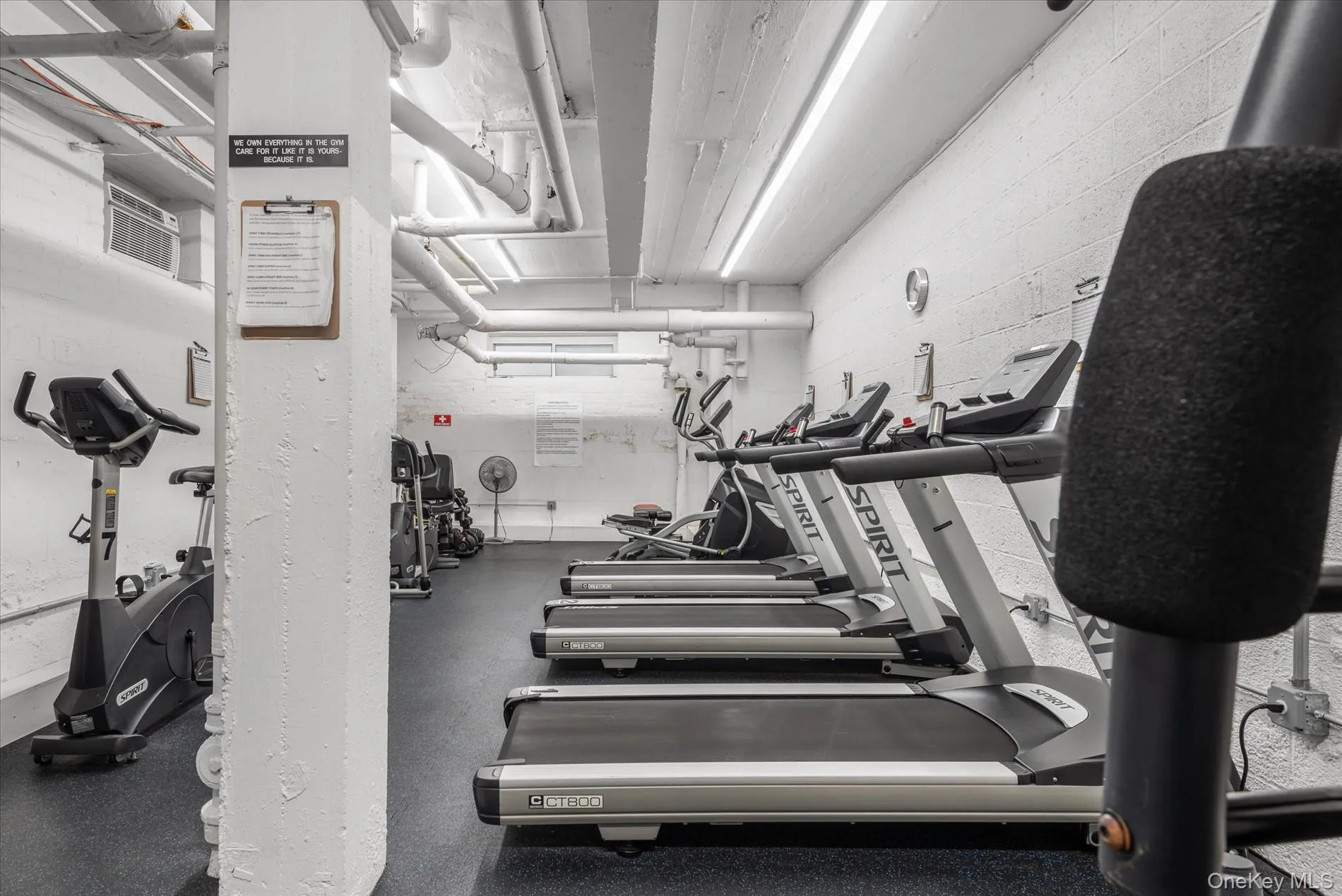 Dedicated fitness area featuring multiple treadmills, stationary bikes, and free weights Dedicated fitness area featuring multiple treadmills, stationary bikes, and free weights