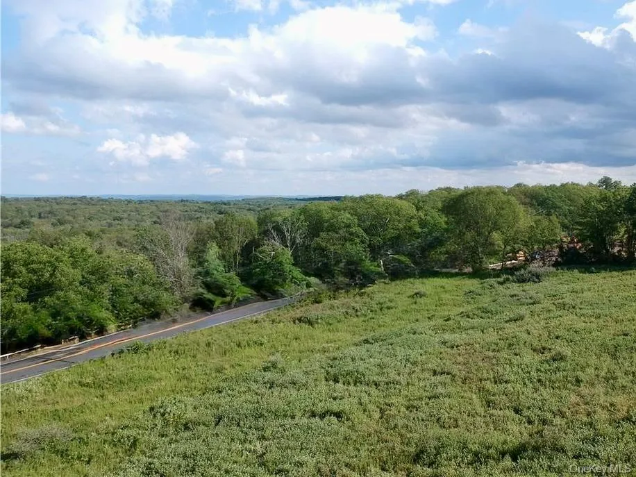 Lot #4 Mountain Road, Greenville, NY, 5 Bedrooms Bedrooms, 13 Rooms Rooms,2 BathroomsBathrooms,Residential,For Rent,Mountain,0,990552 Lot #4 Mountain Road, Greenville, NY, 5 Bedrooms Bedrooms, 13 Rooms Rooms,2 BathroomsBathrooms,Residential,For Rent,Mountain,0,990552