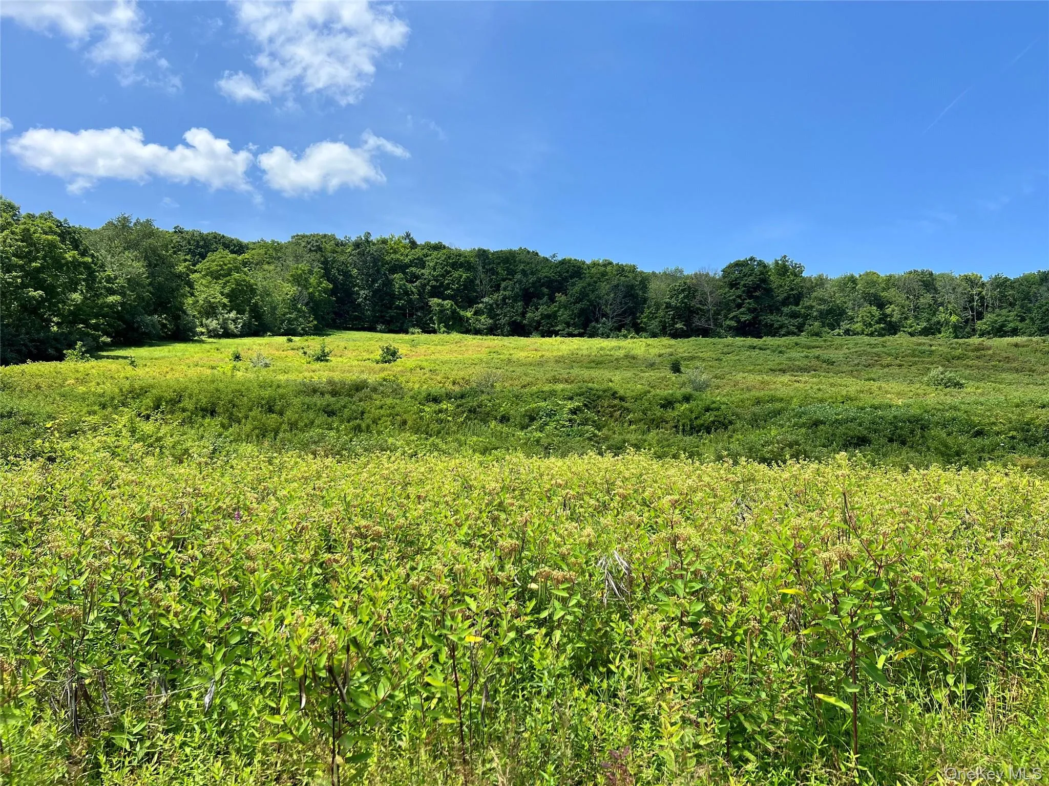 Lot #4 Mountain Road, Greenville, NY, 5 Bedrooms Bedrooms, 13 Rooms Rooms,2 BathroomsBathrooms,Residential,For Rent,Mountain,0,990552 Lot #4 Mountain Road, Greenville, NY, 5 Bedrooms Bedrooms, 13 Rooms Rooms,2 BathroomsBathrooms,Residential,For Rent,Mountain,0,990552