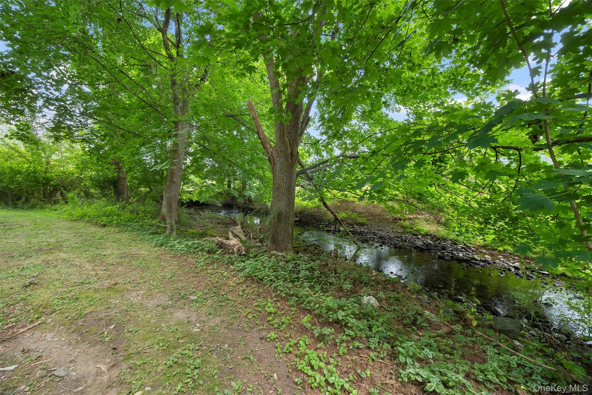 36 Market Lane, Stanford, NY, 4 Bedrooms Bedrooms, 9 Rooms Rooms,4 BathroomsBathrooms,Residential Sale,For Rent,Market,0,990579 36 Market Lane, Stanford, NY, 4 Bedrooms Bedrooms, 9 Rooms Rooms,4 BathroomsBathrooms,Residential Sale,For Rent,Market,0,990579