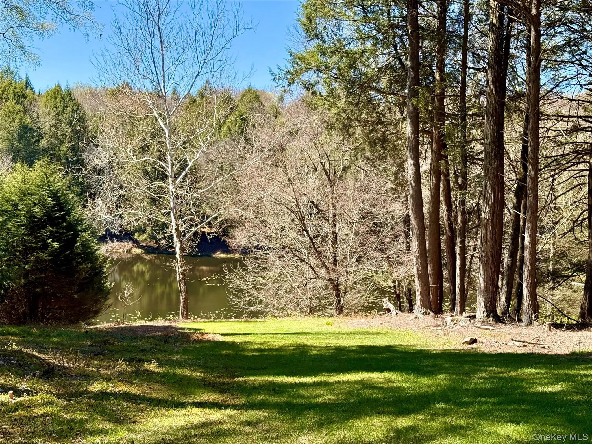 61 Pioneer Drive, Bethel, NY, 3 Bedrooms Bedrooms, 8 Rooms Rooms,1 BathroomBathrooms,Residential,For Rent,Pioneer,0,990614 61 Pioneer Drive, Bethel, NY, 3 Bedrooms Bedrooms, 8 Rooms Rooms,1 BathroomBathrooms,Residential,For Rent,Pioneer,0,990614