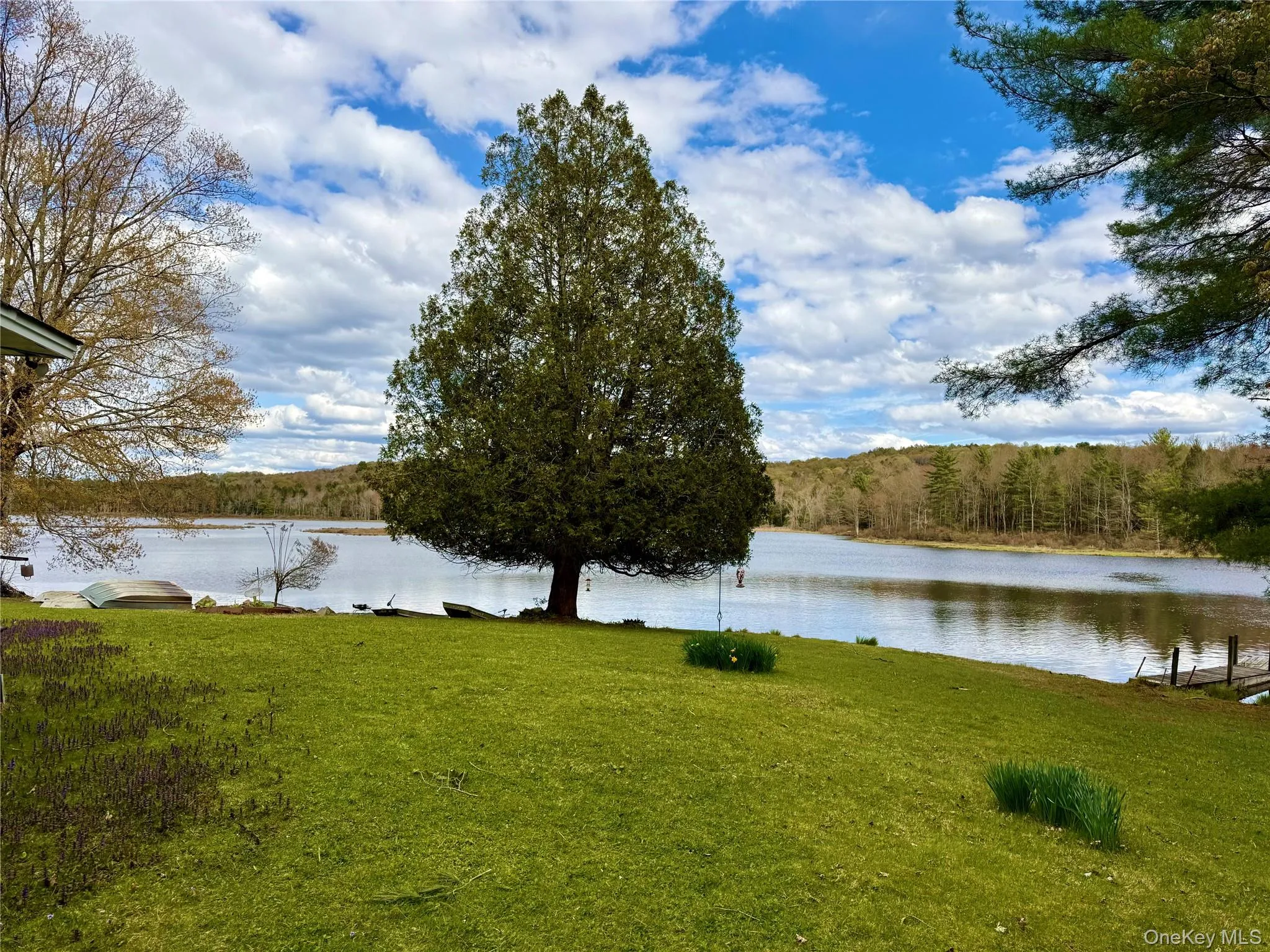 61 Pioneer Drive, Bethel, NY, 3 Bedrooms Bedrooms, 8 Rooms Rooms,1 BathroomBathrooms,Residential,For Rent,Pioneer,0,990614 61 Pioneer Drive, Bethel, NY, 3 Bedrooms Bedrooms, 8 Rooms Rooms,1 BathroomBathrooms,Residential,For Rent,Pioneer,0,990614