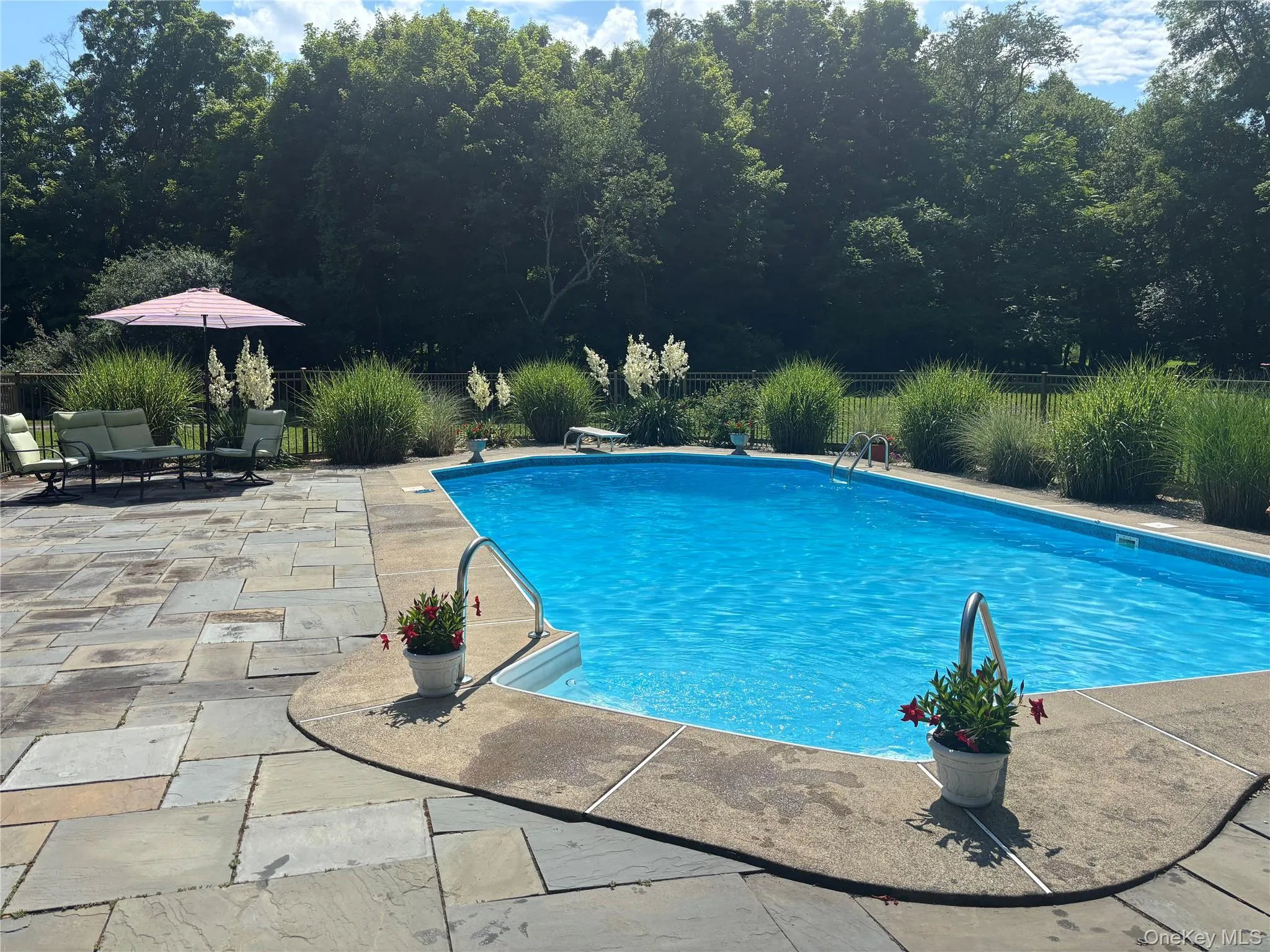 Picture from early last summer showing open pool and mature ornamental grasses Picture from early last summer showing open pool and mature ornamental grasses