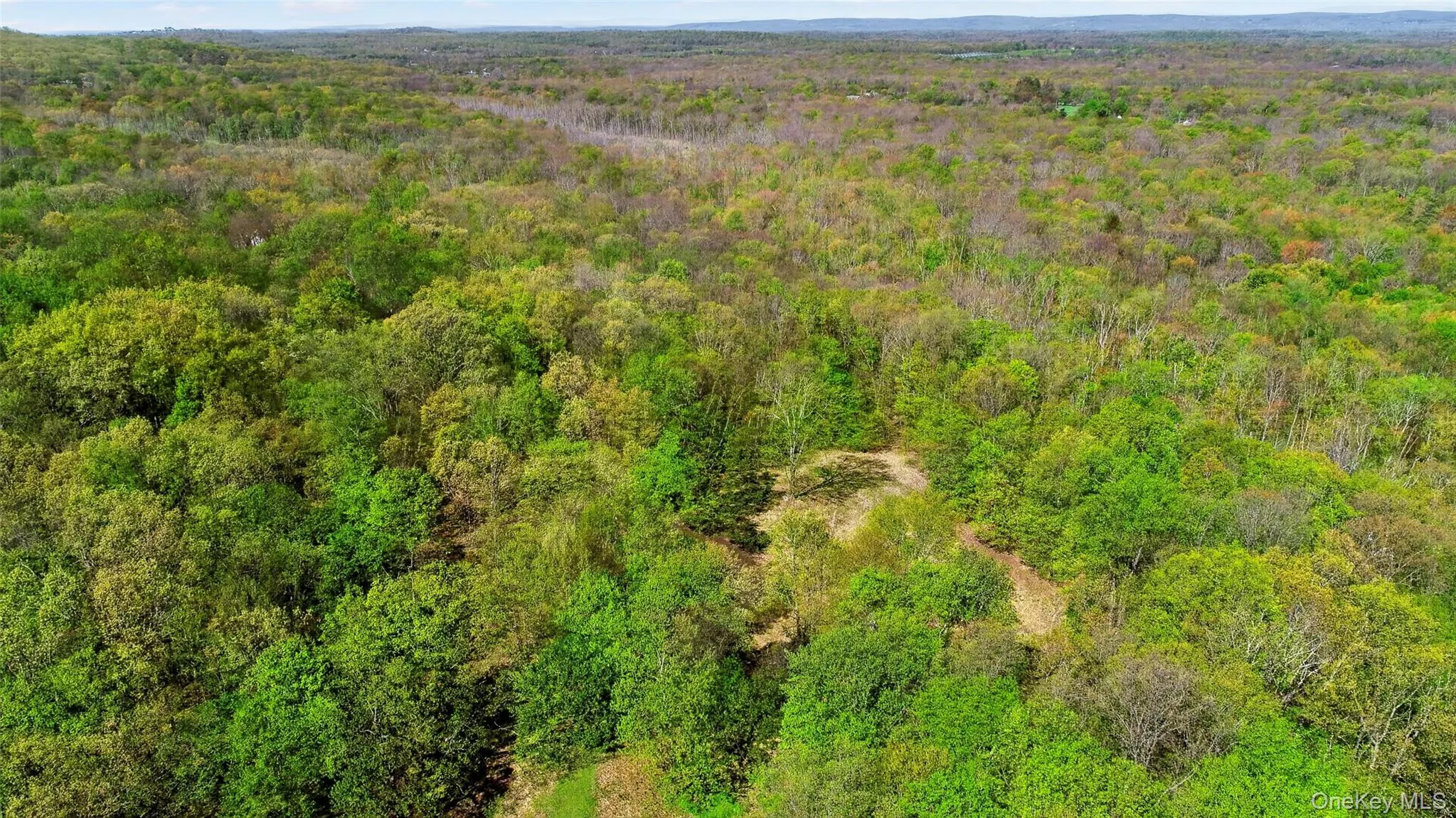Back of property with extra pasture surrounded by a canopy of trees Back of property with extra pasture surrounded by a canopy of trees