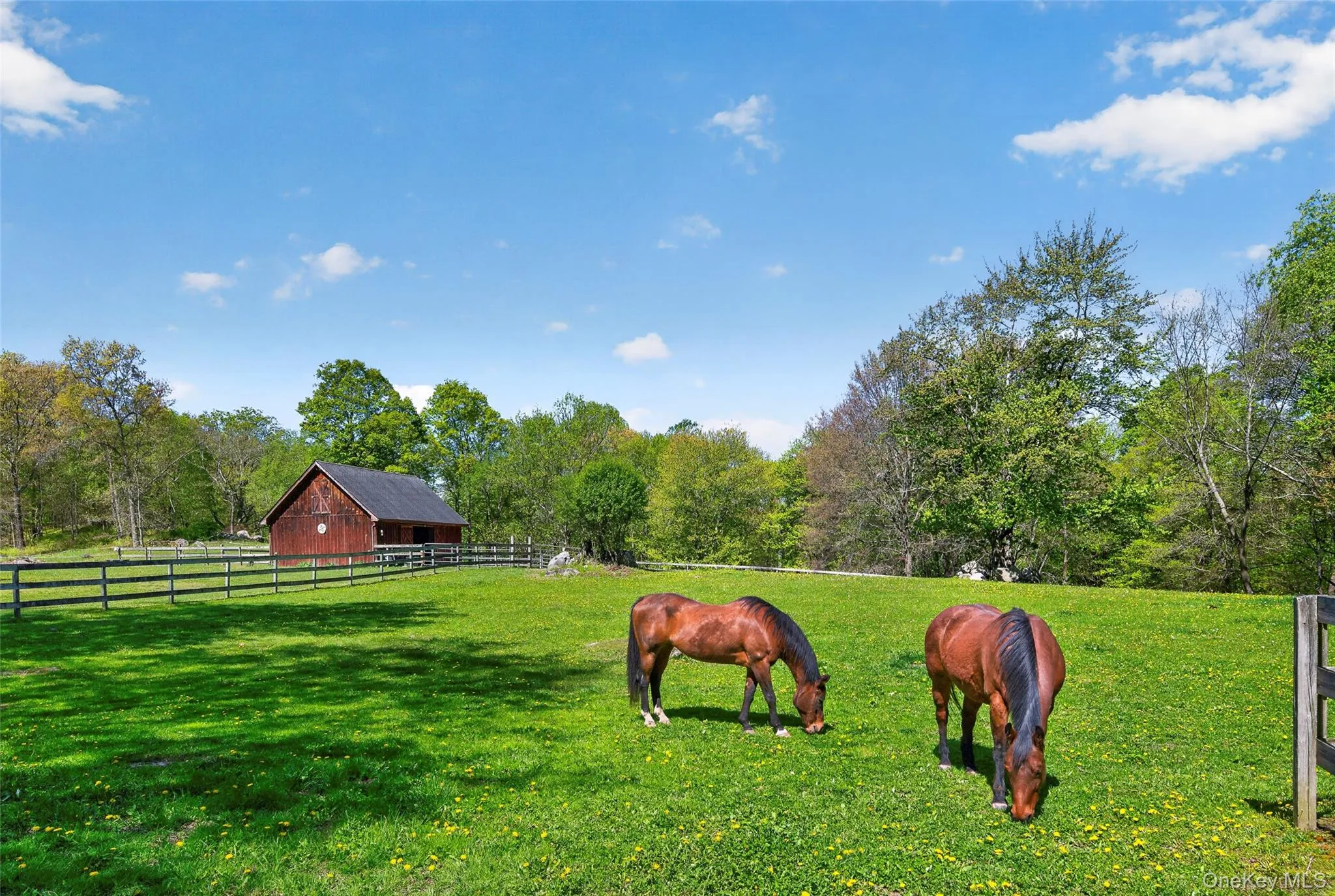 The barn is set back on the 2nd lot for quiet enjoyment. The barn is set back on the 2nd lot for quiet enjoyment.