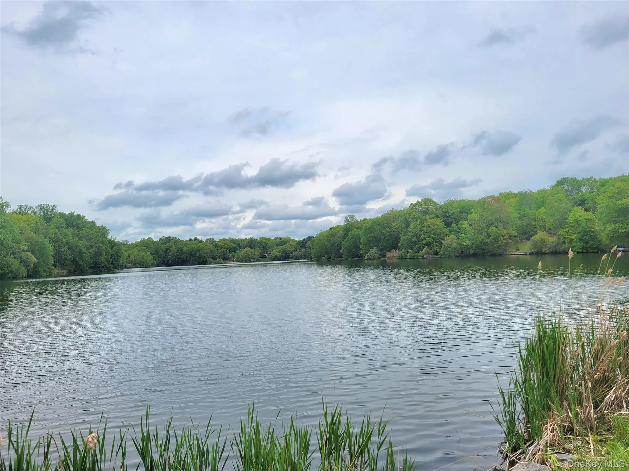 Lake CasseExpansive waterfront featuring serene water and lush green trees Lake CasseExpansive waterfront featuring serene water and lush green trees