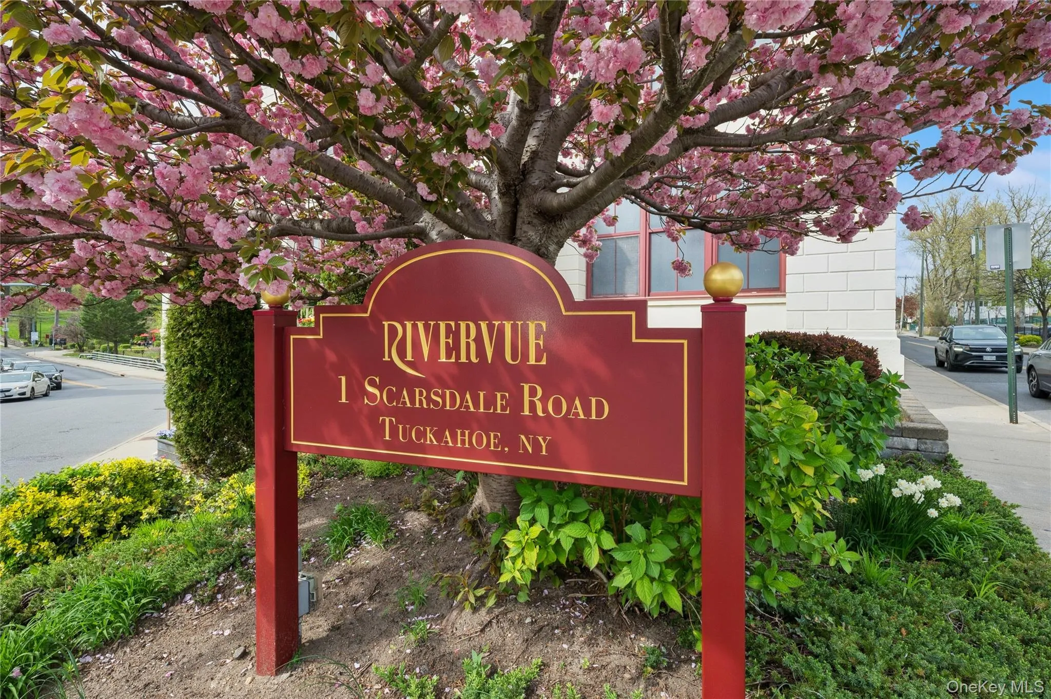 1 Scarsdale Road, Eastchester, NY, 2 Bedrooms Bedrooms, 4 Rooms Rooms,2 BathroomsBathrooms,Residential Lease,For Rent,Scarsdale,0,990730 1 Scarsdale Road, Eastchester, NY, 2 Bedrooms Bedrooms, 4 Rooms Rooms,2 BathroomsBathrooms,Residential Lease,For Rent,Scarsdale,0,990730