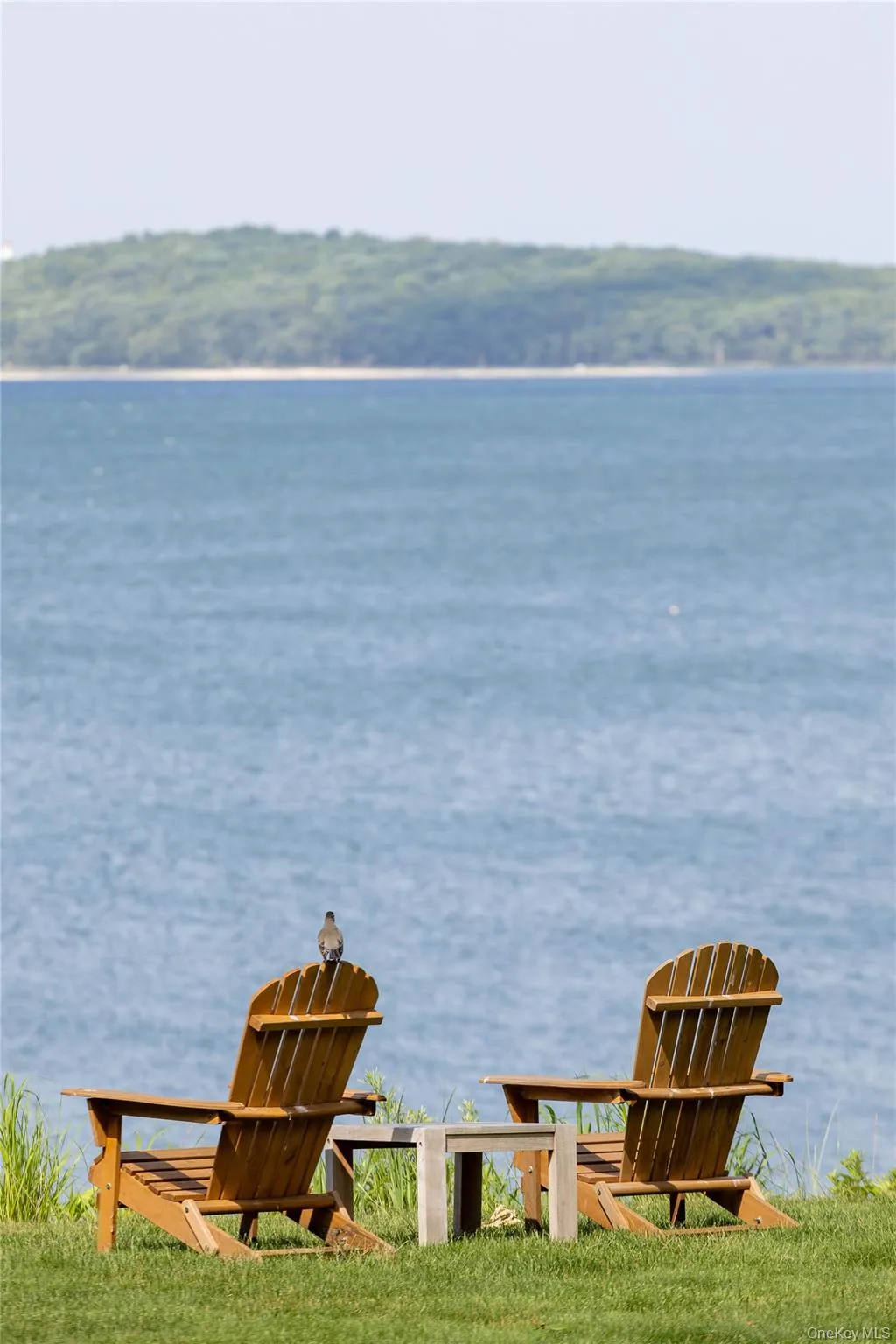 17 Sea Crest Drive, Huntington, NY, 5 Bedrooms Bedrooms, 12 Rooms Rooms,5 BathroomsBathrooms,Residential,For Rent,Sea Crest,0,KEY990765 17 Sea Crest Drive, Huntington, NY, 5 Bedrooms Bedrooms, 12 Rooms Rooms,5 BathroomsBathrooms,Residential,For Rent,Sea Crest,0,KEY990765