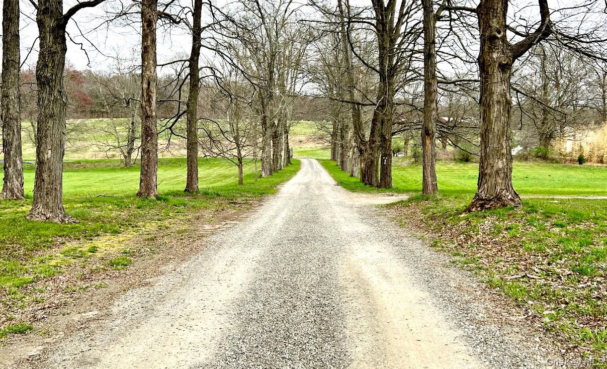Long Tree line drive Long Tree line drive