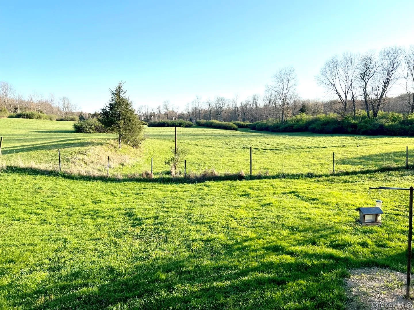View of yard with a rural view View of yard with a rural view
