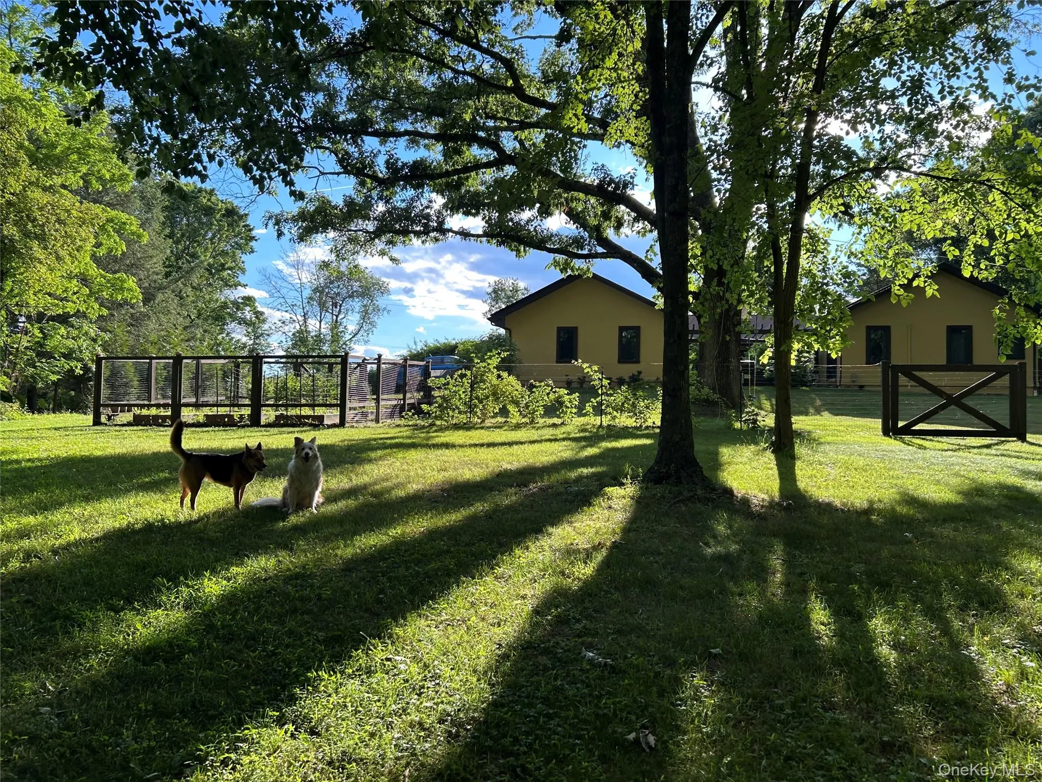 47 Willow Drive, Beekman, NY, 3 Bedrooms Bedrooms, 6 Rooms Rooms,2 BathroomsBathrooms,Residential,For Rent,Willow,0,KEY990794 47 Willow Drive, Beekman, NY, 3 Bedrooms Bedrooms, 6 Rooms Rooms,2 BathroomsBathrooms,Residential,For Rent,Willow,0,KEY990794