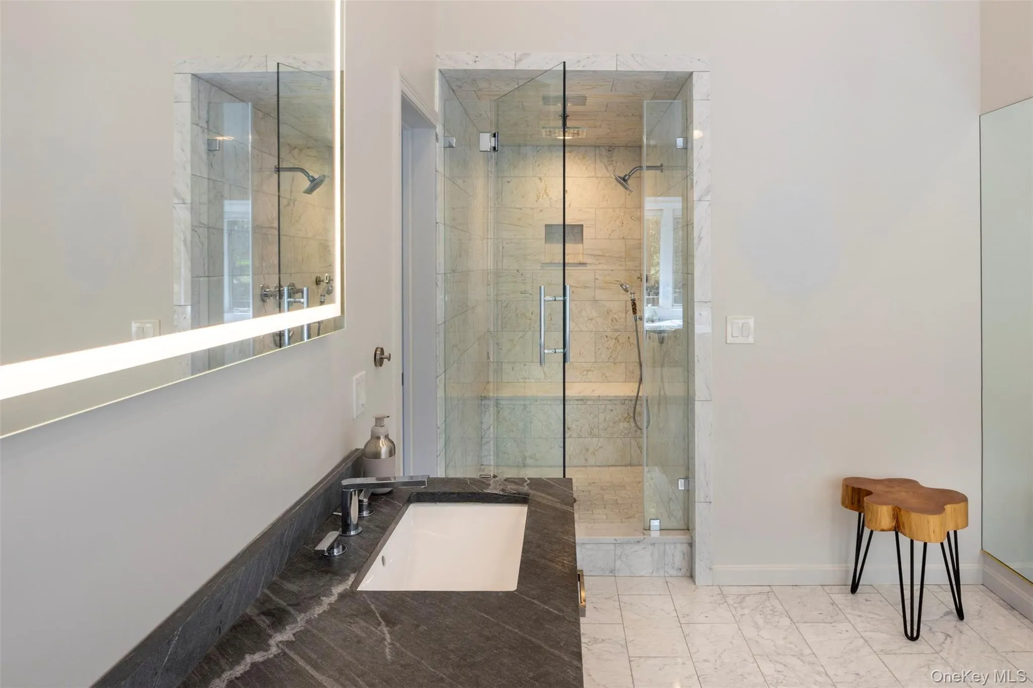 Shower in Primary Shower in Primary