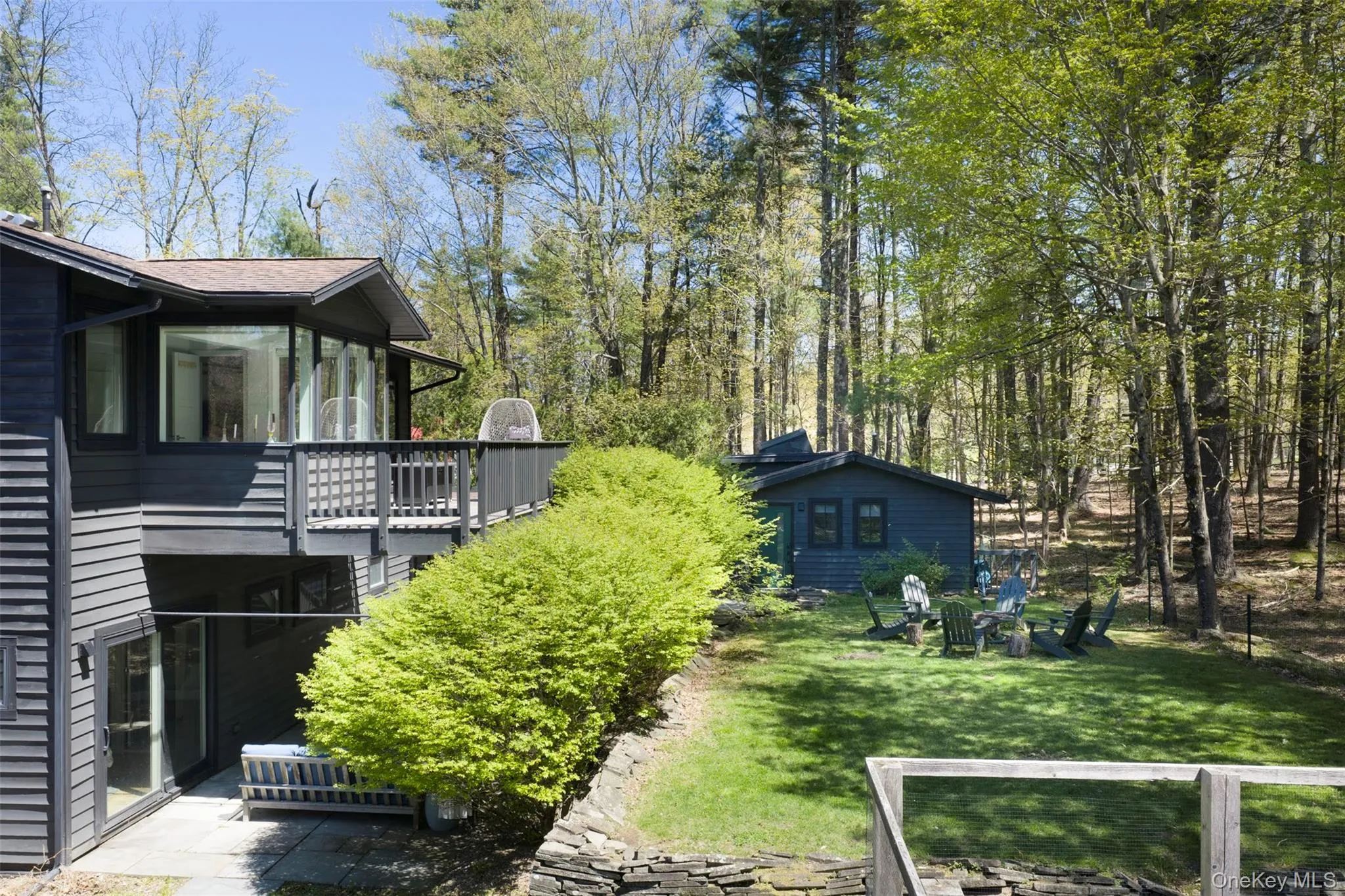 backyard backyard