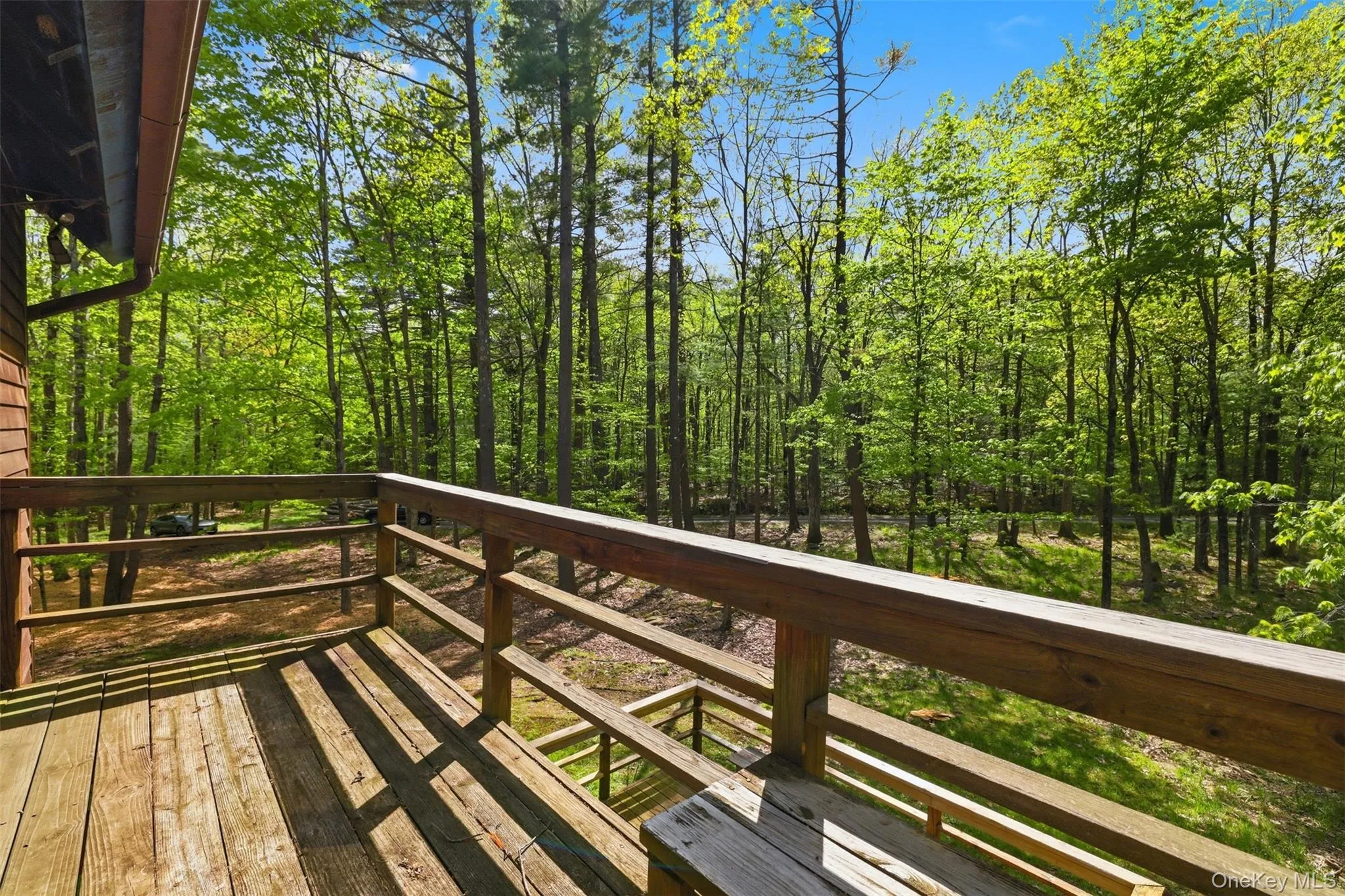 99 Wildflower Lane, Olive, NY, 3 Bedrooms Bedrooms, 8 Rooms Rooms,2 BathroomsBathrooms,Residential Sale,For Rent,Wildflower,0,990797 99 Wildflower Lane, Olive, NY, 3 Bedrooms Bedrooms, 8 Rooms Rooms,2 BathroomsBathrooms,Residential Sale,For Rent,Wildflower,0,990797