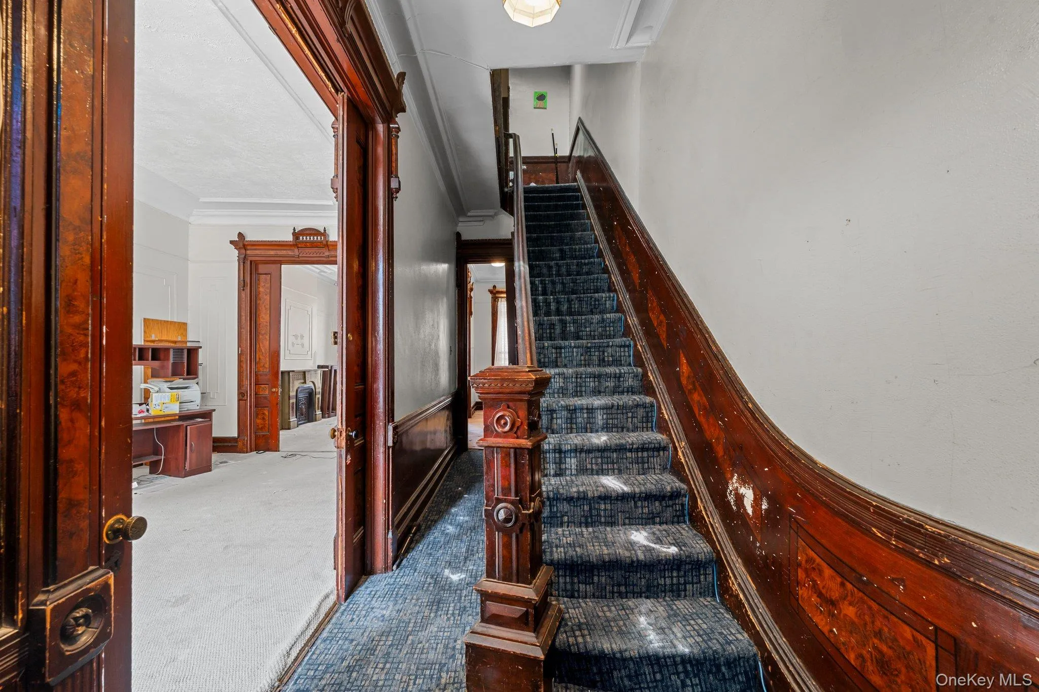 367A Quincy Street, New York, NY, 5 Bedrooms Bedrooms, 11 Rooms Rooms,2 BathroomsBathrooms,Residential,For Rent,Quincy,0,990816 367A Quincy Street, New York, NY, 5 Bedrooms Bedrooms, 11 Rooms Rooms,2 BathroomsBathrooms,Residential,For Rent,Quincy,0,990816