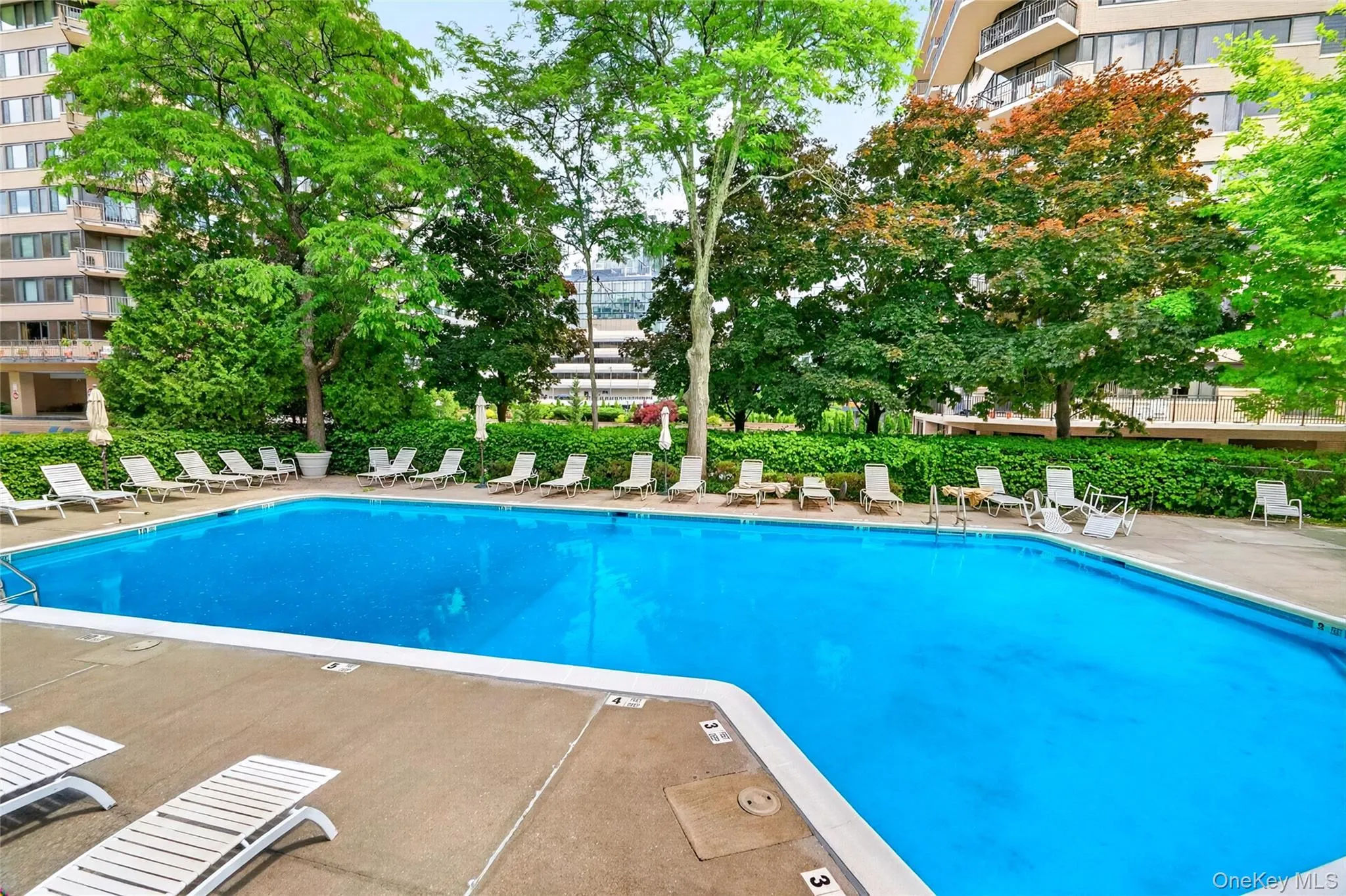 23 Hillside Terrace, White Plains, NY, 2 Bedrooms Bedrooms, 7 Rooms Rooms,1 BathroomBathrooms,Residential,For Rent,Hillside,0,KEY990923 23 Hillside Terrace, White Plains, NY, 2 Bedrooms Bedrooms, 7 Rooms Rooms,1 BathroomBathrooms,Residential,For Rent,Hillside,0,KEY990923