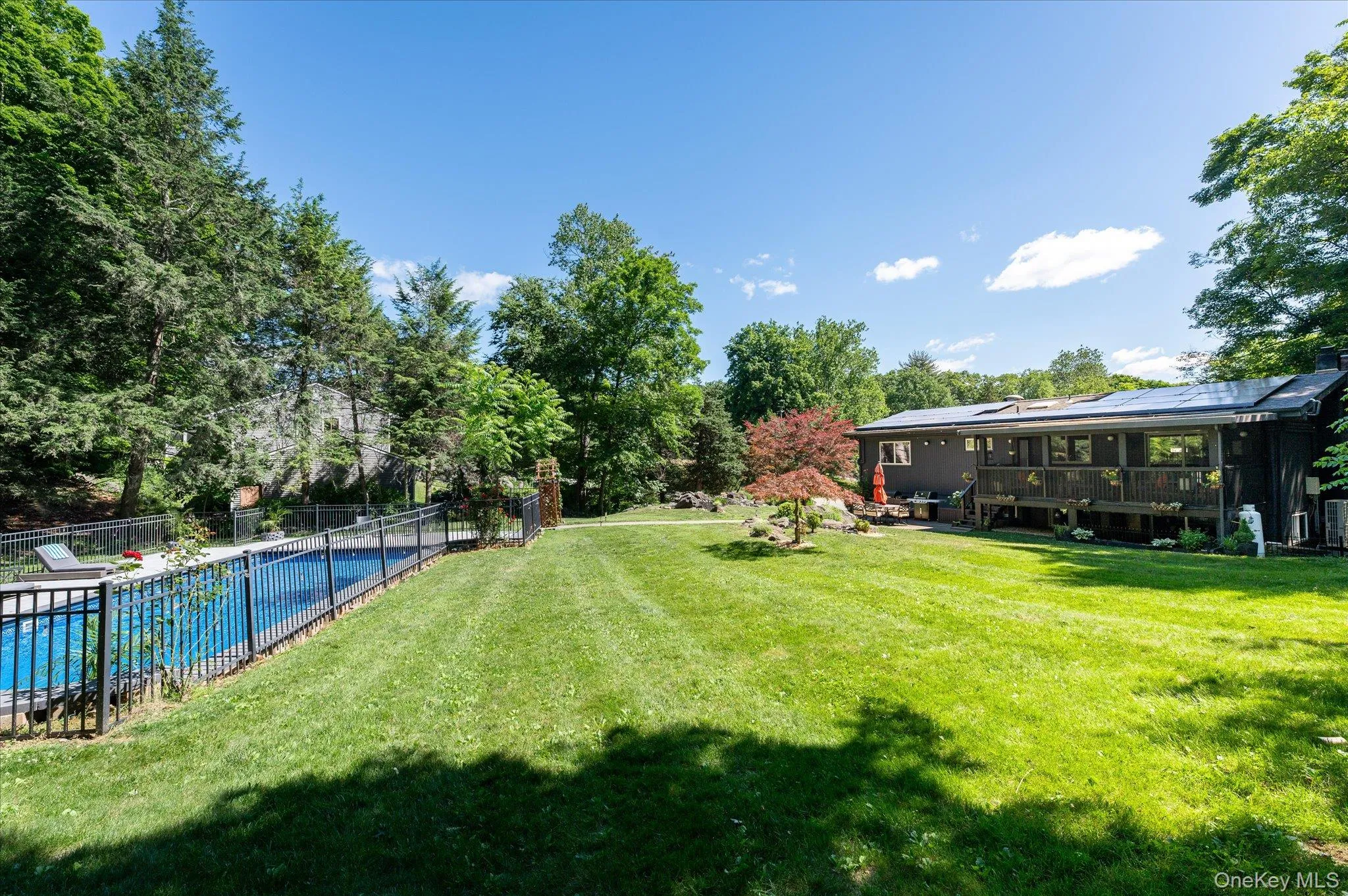 Backyard Backyard