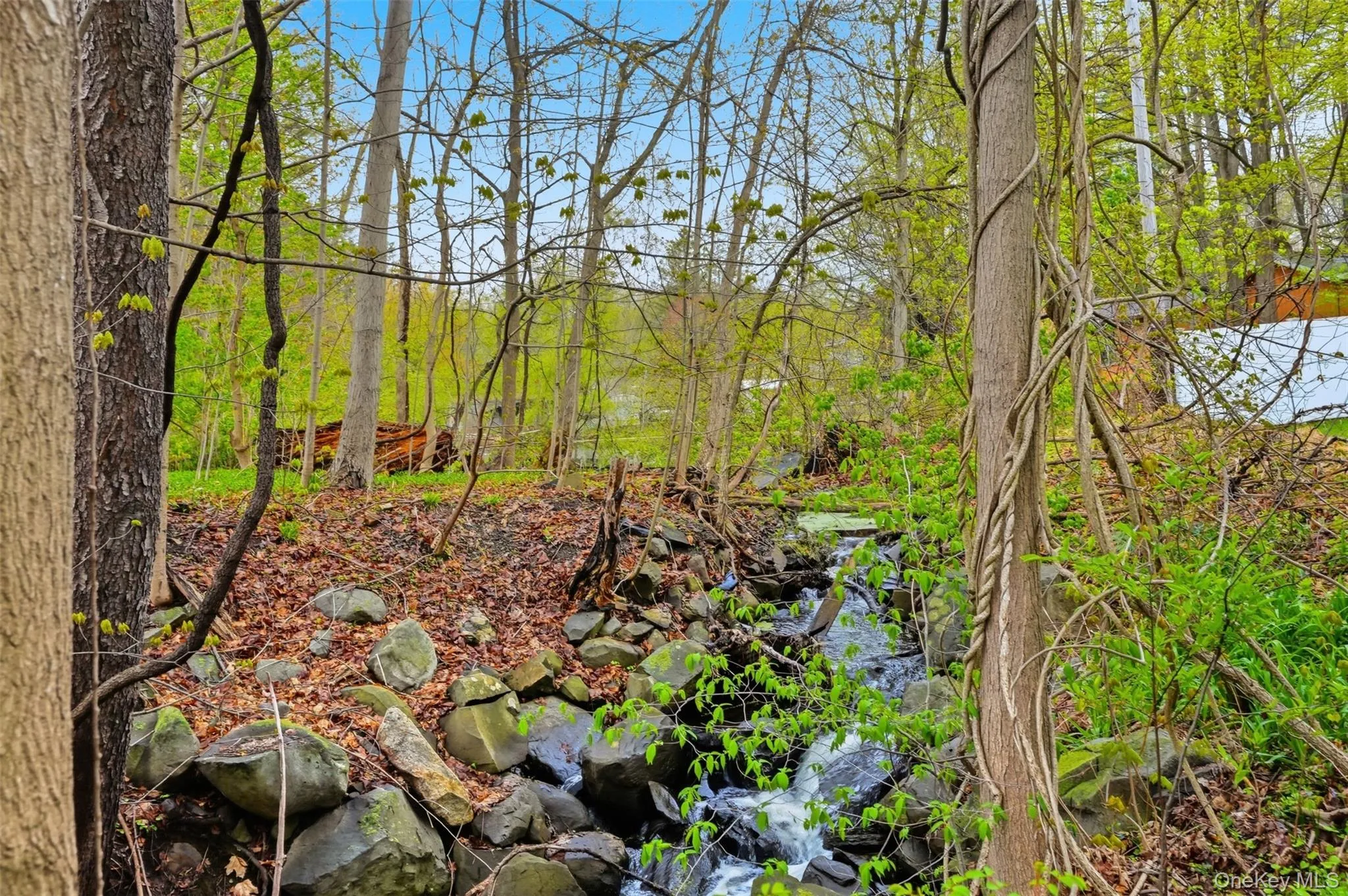 400 Ohioville Road, New Paltz, NY, 3 Bedrooms Bedrooms, 10 Rooms Rooms,2 BathroomsBathrooms,Residential,For Rent,Ohioville,0,991033 400 Ohioville Road, New Paltz, NY, 3 Bedrooms Bedrooms, 10 Rooms Rooms,2 BathroomsBathrooms,Residential,For Rent,Ohioville,0,991033
