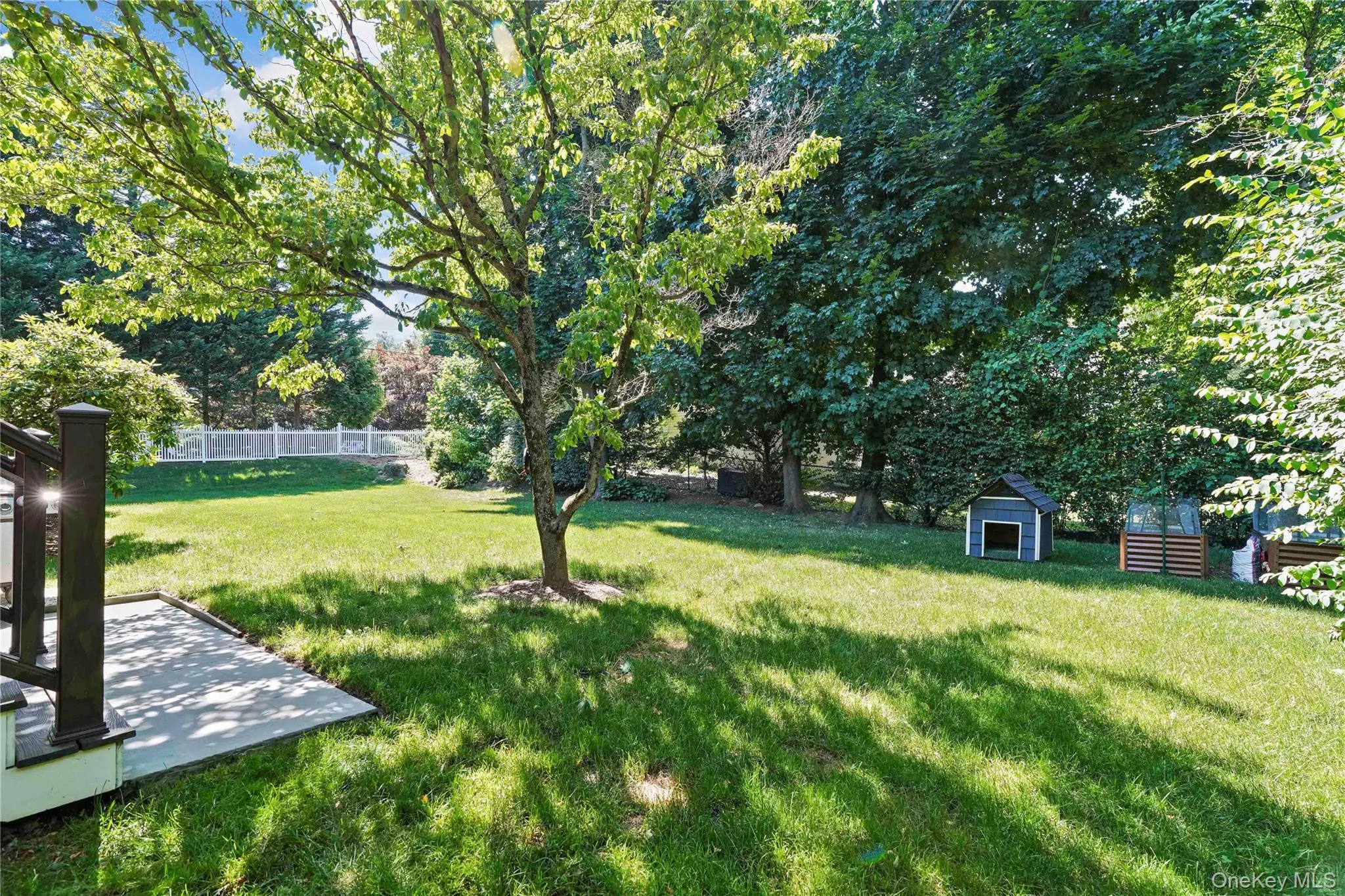 Beautiful large fenced in lush yard Beautiful large fenced in lush yard