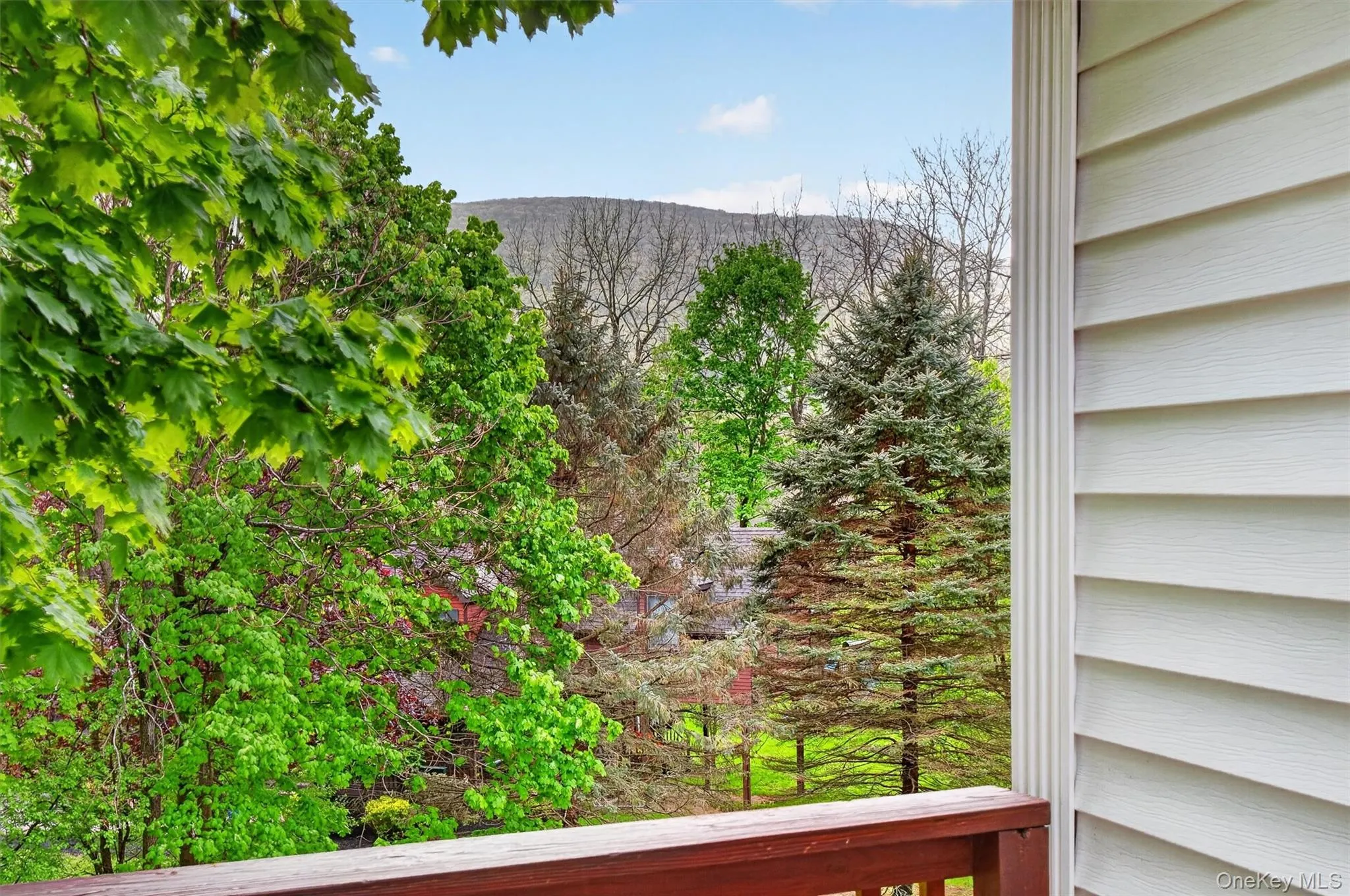 Spacious outdoor deck with wood flooring and matching railings, featuring a verdant tree canopy backdrop and integrated stairs. Spacious outdoor deck with wood flooring and matching railings, featuring a verdant tree canopy backdrop and integrated stairs.