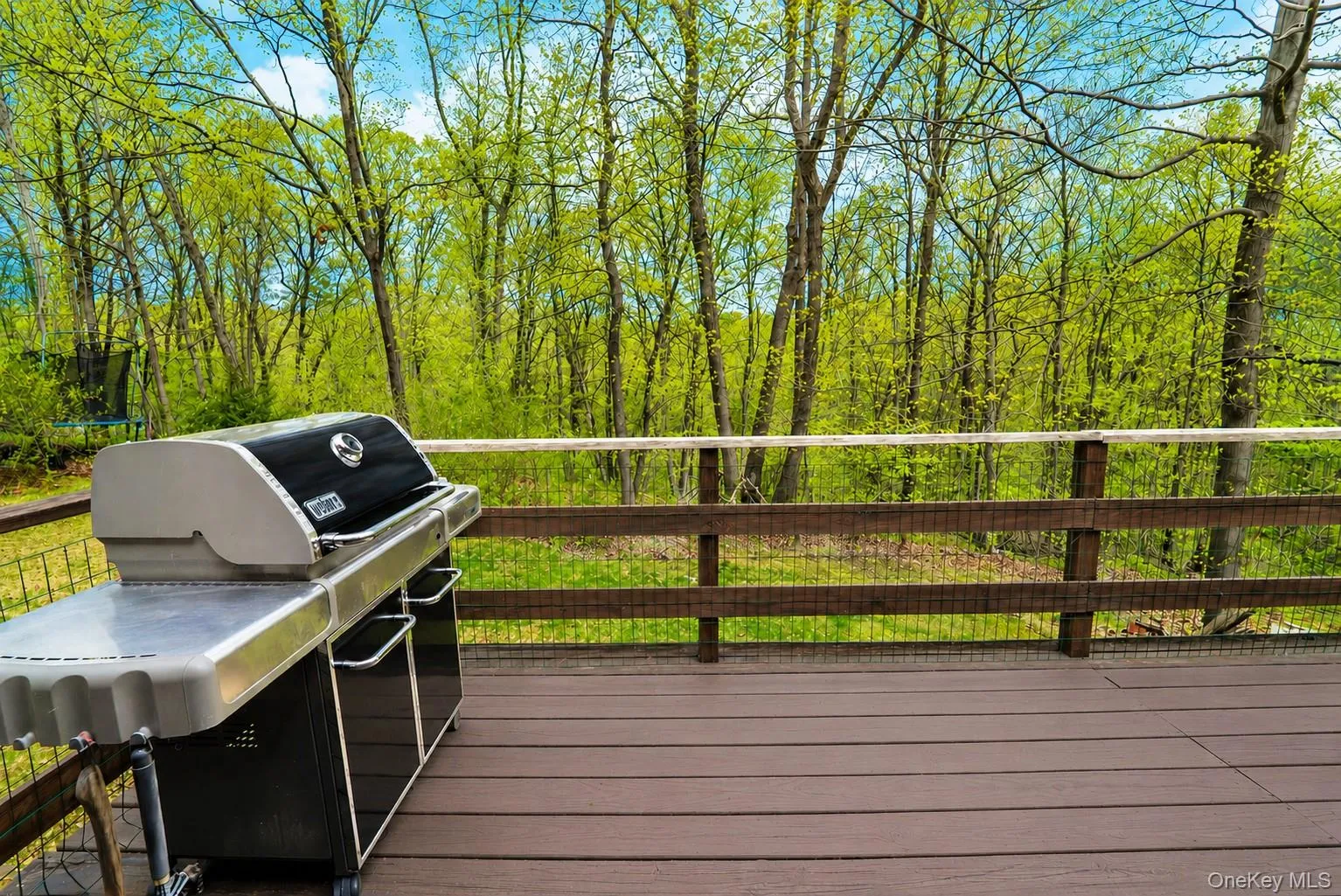 The side deck off the kitchen leads to the perfect grilling area, ideal for entertaining and stargazing. The side deck off the kitchen leads to the perfect grilling area, ideal for entertaining and stargazing.