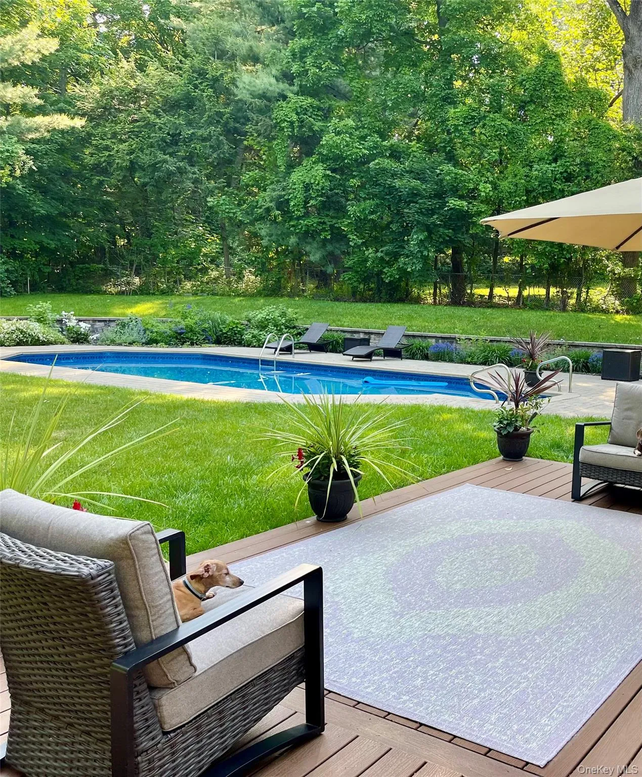 23 Edgewood Drive, Monroe, NY, 4 Bedrooms Bedrooms, 7 Rooms Rooms,2 BathroomsBathrooms,Residential,For Rent,Edgewood,0,991126 23 Edgewood Drive, Monroe, NY, 4 Bedrooms Bedrooms, 7 Rooms Rooms,2 BathroomsBathrooms,Residential,For Rent,Edgewood,0,991126