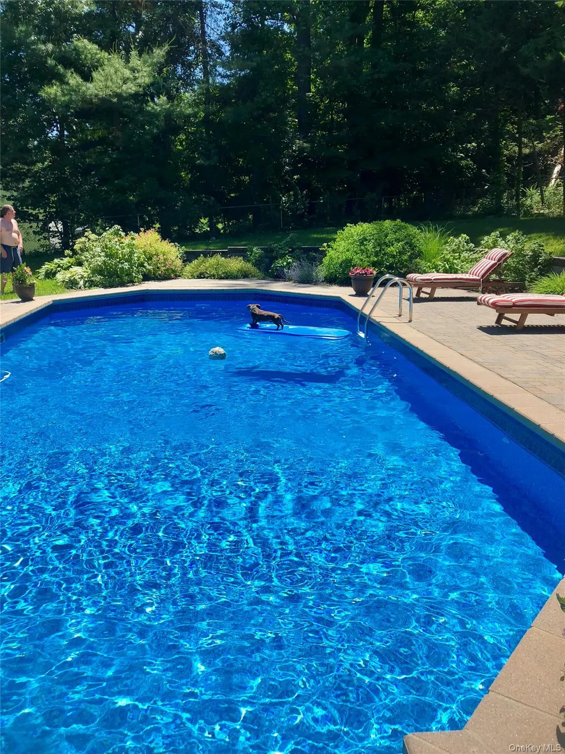23 Edgewood Drive, Monroe, NY, 4 Bedrooms Bedrooms, 7 Rooms Rooms,2 BathroomsBathrooms,Residential,For Rent,Edgewood,0,991126 23 Edgewood Drive, Monroe, NY, 4 Bedrooms Bedrooms, 7 Rooms Rooms,2 BathroomsBathrooms,Residential,For Rent,Edgewood,0,991126