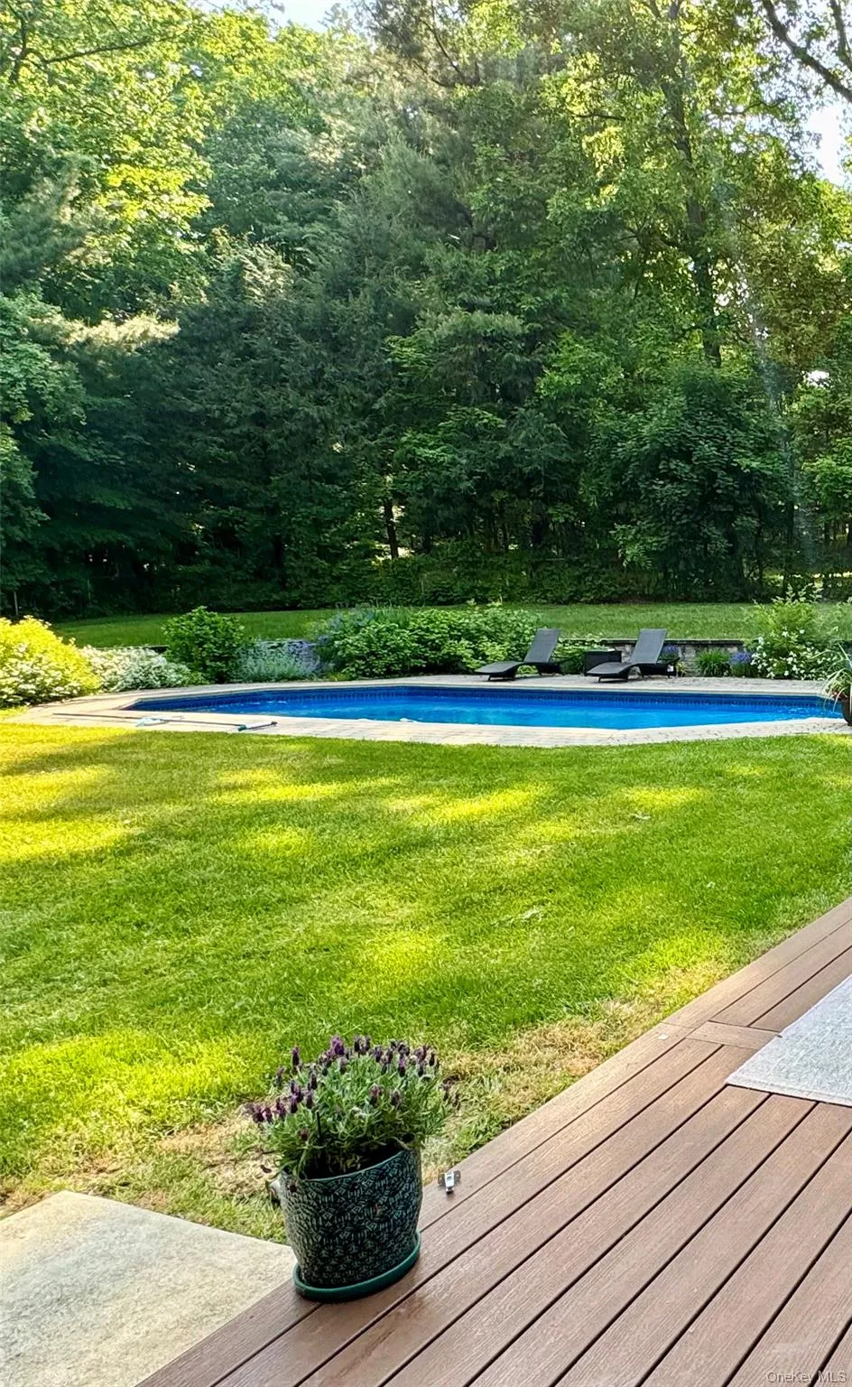 23 Edgewood Drive, Monroe, NY, 4 Bedrooms Bedrooms, 7 Rooms Rooms,2 BathroomsBathrooms,Residential,For Rent,Edgewood,0,991126 23 Edgewood Drive, Monroe, NY, 4 Bedrooms Bedrooms, 7 Rooms Rooms,2 BathroomsBathrooms,Residential,For Rent,Edgewood,0,991126