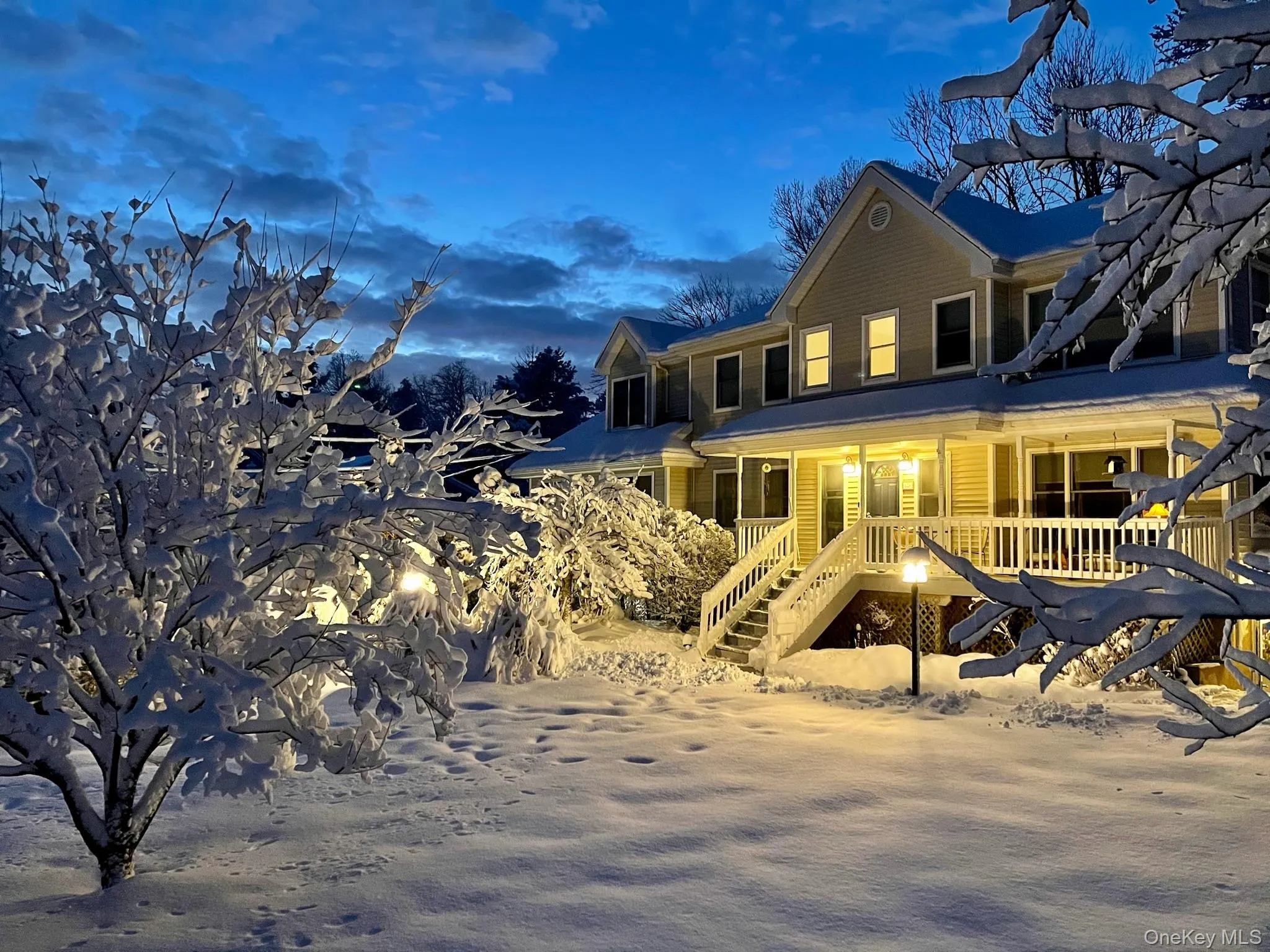 WINTER WONDERLAND WINTER WONDERLAND