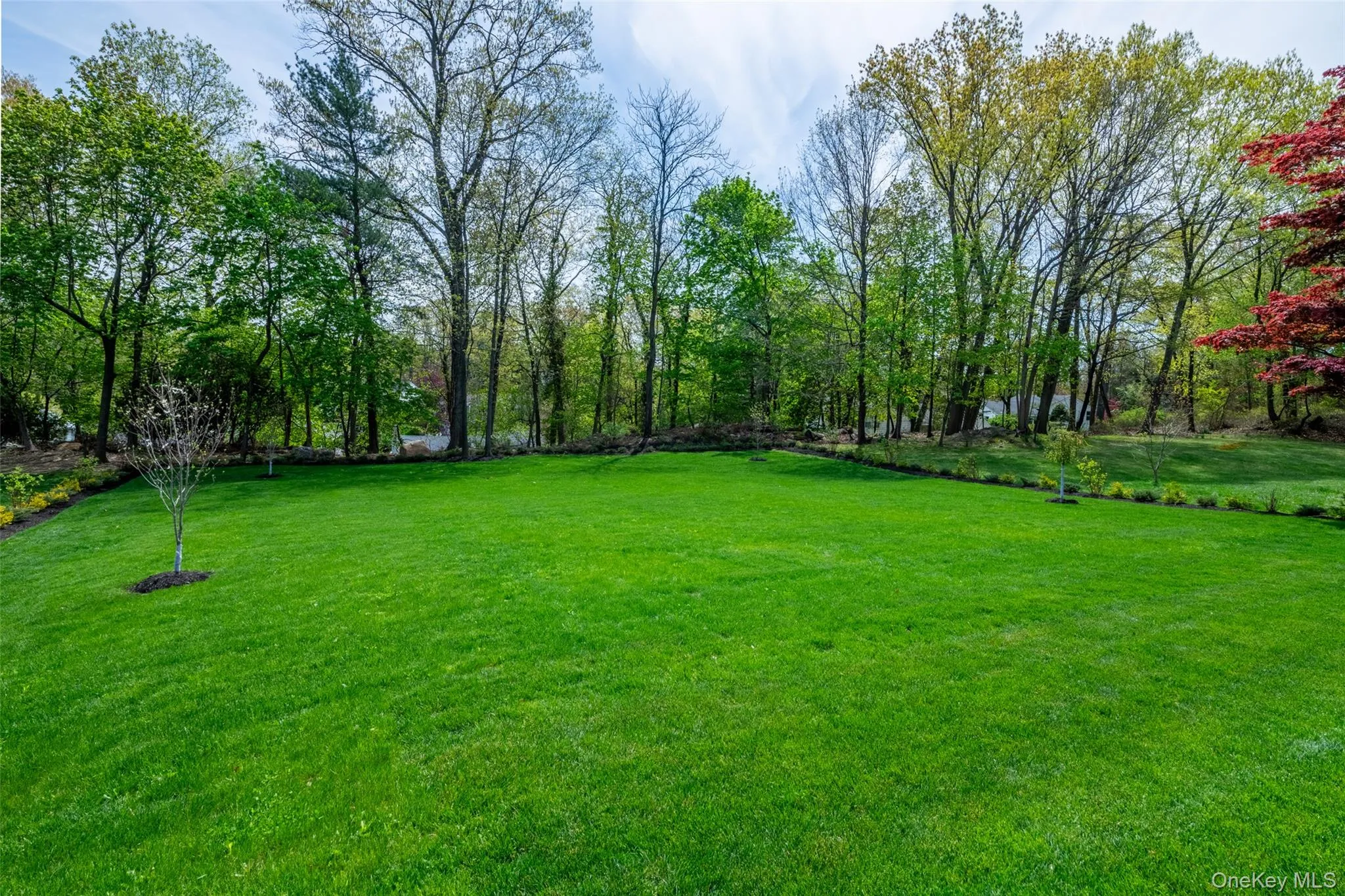 19 Beverly Road, New Rochelle, NY, 5 Bedrooms Bedrooms, 12 Rooms Rooms,5 BathroomsBathrooms,Residential,For Rent,Beverly,0,991161 19 Beverly Road, New Rochelle, NY, 5 Bedrooms Bedrooms, 12 Rooms Rooms,5 BathroomsBathrooms,Residential,For Rent,Beverly,0,991161