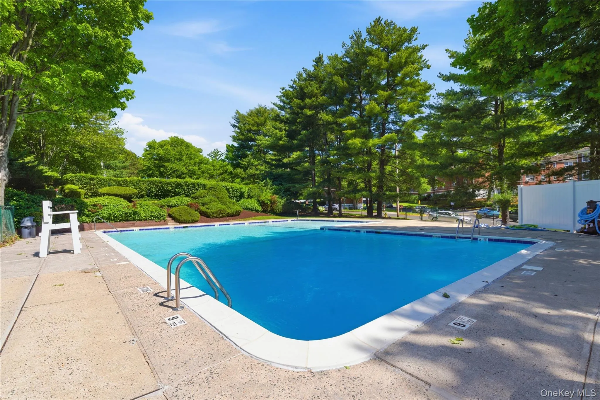 Outdoor swimming pool with concrete decking, surrounded by mature trees and manicured hedges Outdoor swimming pool with concrete decking, surrounded by mature trees and manicured hedges