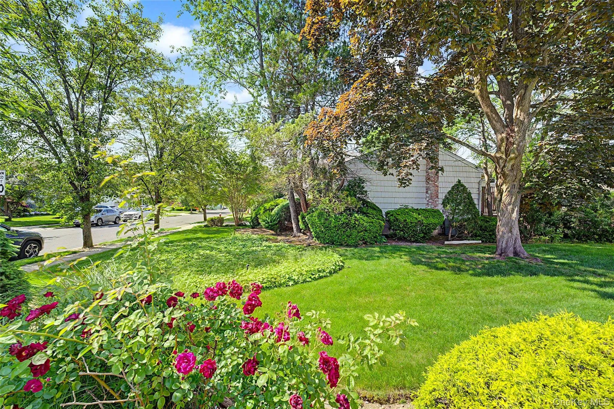 105 Serpentine Lane, North Hempstead, NY, 3 Bedrooms Bedrooms, 7 Rooms Rooms,2 BathroomsBathrooms,Residential,For Rent,Serpentine,0,991281 105 Serpentine Lane, North Hempstead, NY, 3 Bedrooms Bedrooms, 7 Rooms Rooms,2 BathroomsBathrooms,Residential,For Rent,Serpentine,0,991281
