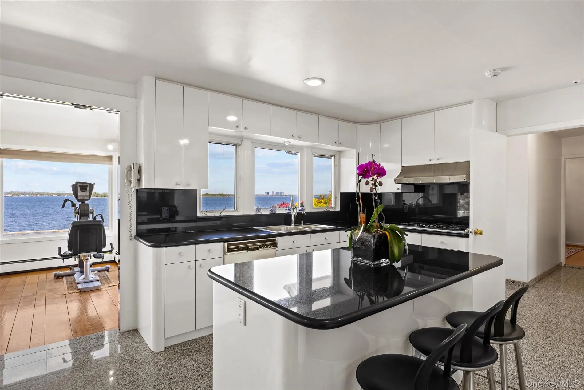 24 Cricket Lane, North Hempstead, NY, 6 Bedrooms Bedrooms, 11 Rooms Rooms,4 BathroomsBathrooms,Residential Sale,For Rent,Cricket,0,991342 24 Cricket Lane, North Hempstead, NY, 6 Bedrooms Bedrooms, 11 Rooms Rooms,4 BathroomsBathrooms,Residential Sale,For Rent,Cricket,0,991342