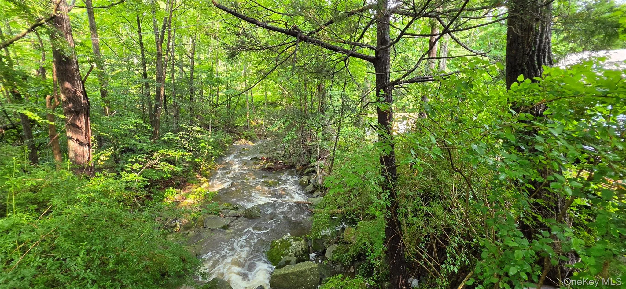 623 Wurtsboro Mtn Road, Mamakating, NY, 3 Bedrooms Bedrooms, 8 Rooms Rooms,2 BathroomsBathrooms,Residential,For Rent,Wurtsboro Mtn,0,991372 623 Wurtsboro Mtn Road, Mamakating, NY, 3 Bedrooms Bedrooms, 8 Rooms Rooms,2 BathroomsBathrooms,Residential,For Rent,Wurtsboro Mtn,0,991372