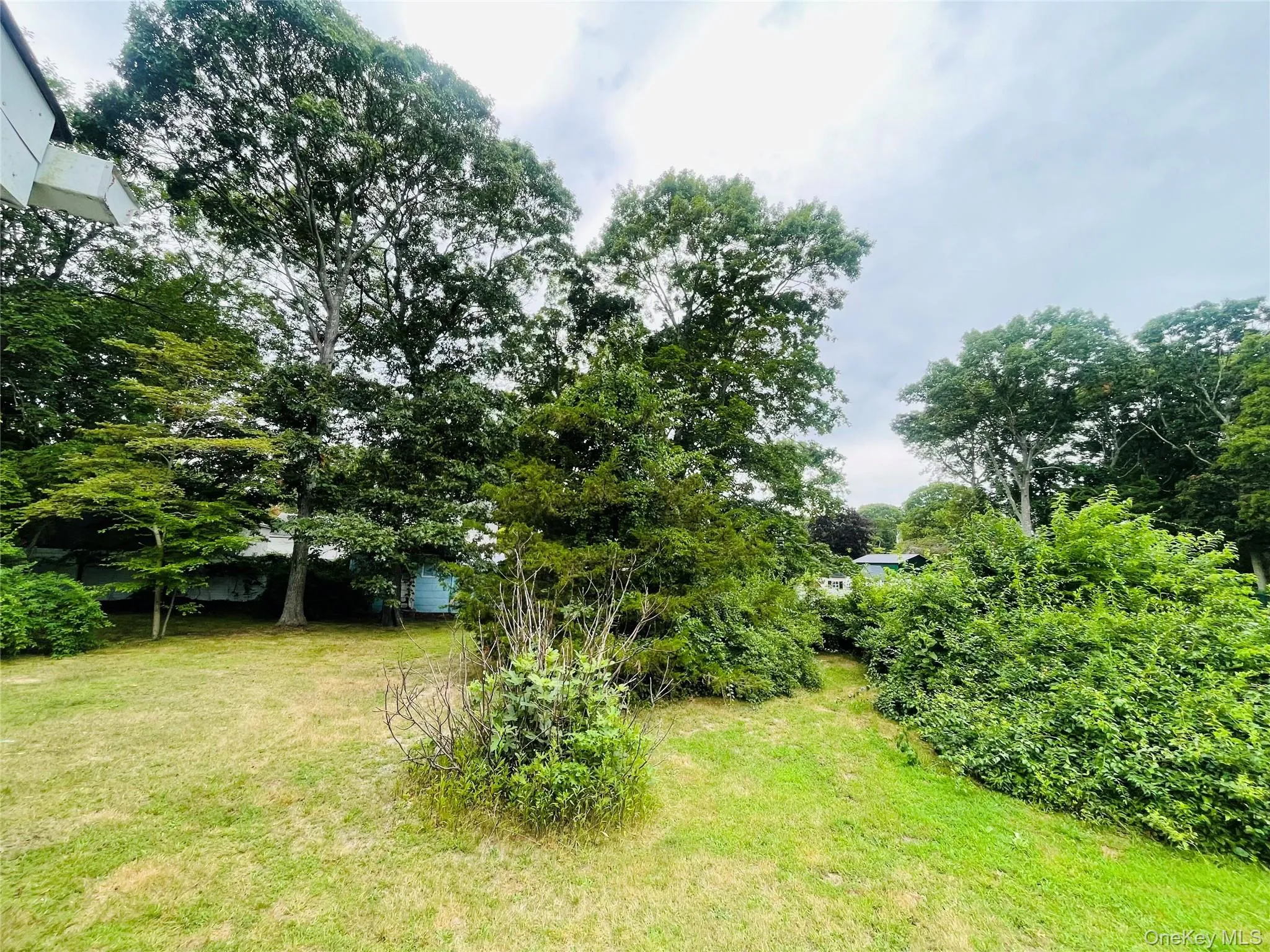 Large yard Large yard