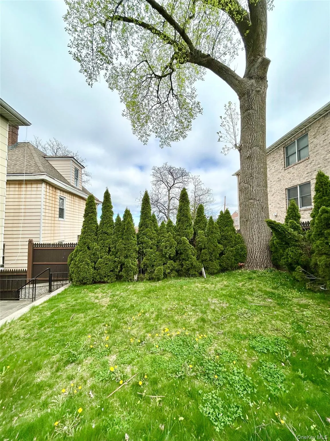 164 Rossiter Avenue, Yonkers, NY, 5 Bedrooms Bedrooms, 11 Rooms Rooms,3 BathroomsBathrooms,Residential Lease,For Rent,Rossiter,0,991413 164 Rossiter Avenue, Yonkers, NY, 5 Bedrooms Bedrooms, 11 Rooms Rooms,3 BathroomsBathrooms,Residential Lease,For Rent,Rossiter,0,991413