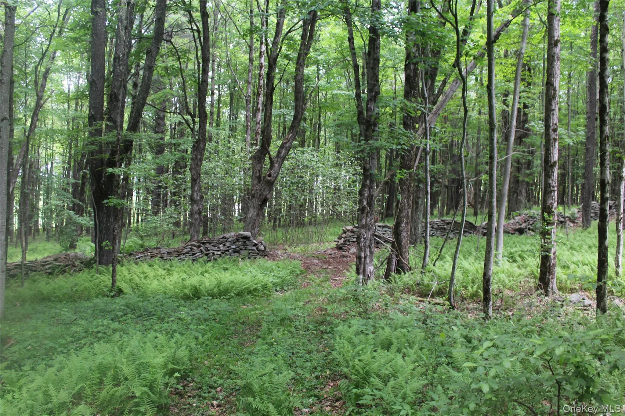 Wooded acreage featuring mature trees, natural ground cover, and stone wall remnants Wooded acreage featuring mature trees, natural ground cover, and stone wall remnants