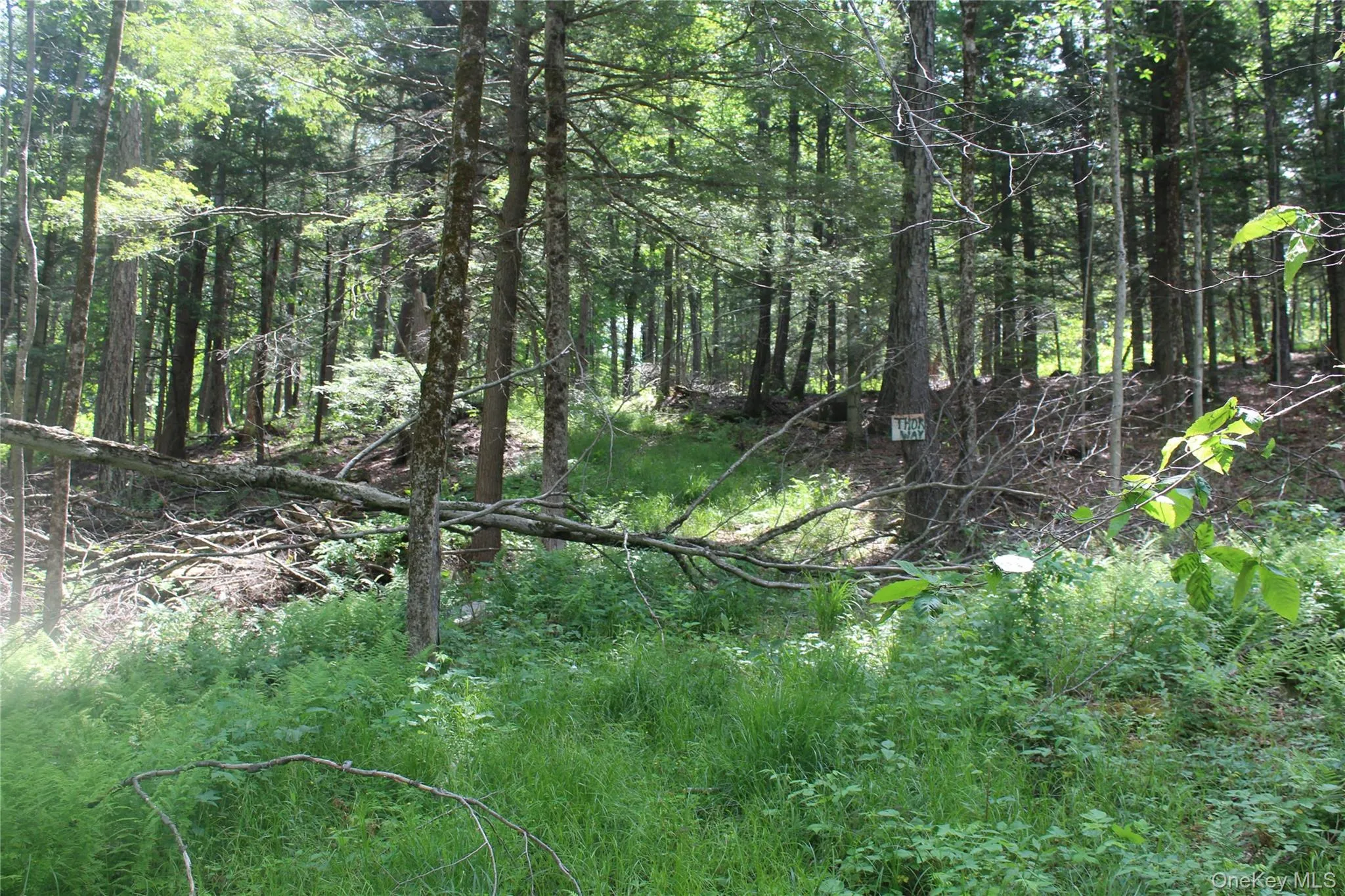 624 County Road, Fremont, NY, 3 Bedrooms Bedrooms, 7 Rooms Rooms,2 BathroomsBathrooms,Residential,For Rent,County,0,991417 624 County Road, Fremont, NY, 3 Bedrooms Bedrooms, 7 Rooms Rooms,2 BathroomsBathrooms,Residential,For Rent,County,0,991417