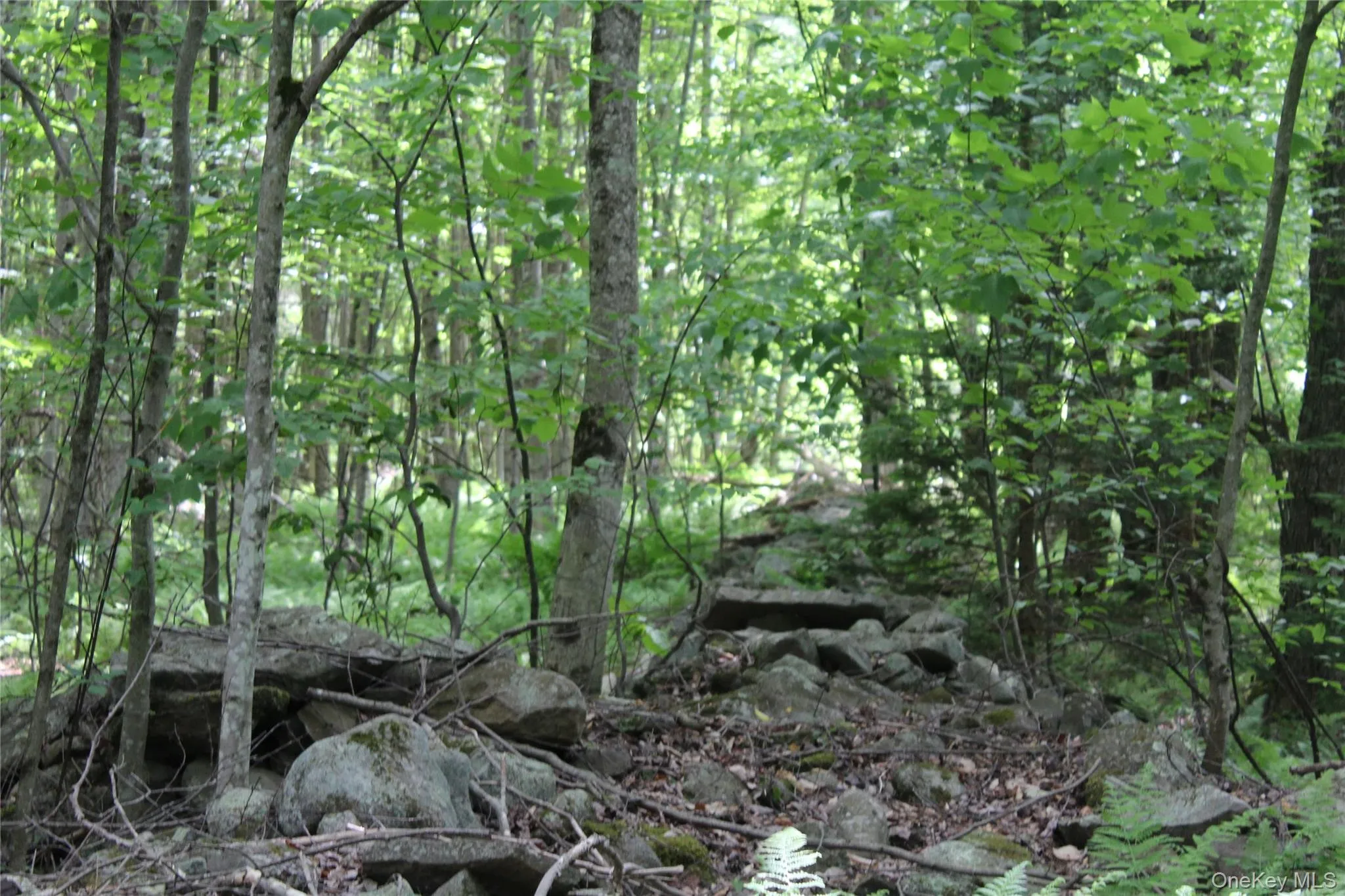Nature Nature