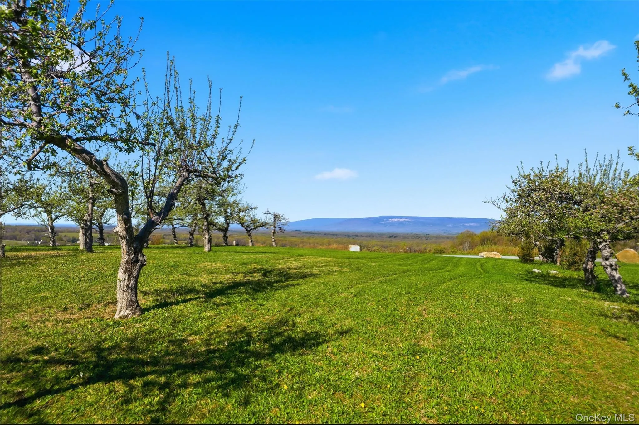 60 Palazzo Lane, Plattekill, NY, 3 Bedrooms Bedrooms, 8 Rooms Rooms,3 BathroomsBathrooms,Residential,For Rent,Palazzo,0,991440 60 Palazzo Lane, Plattekill, NY, 3 Bedrooms Bedrooms, 8 Rooms Rooms,3 BathroomsBathrooms,Residential,For Rent,Palazzo,0,991440
